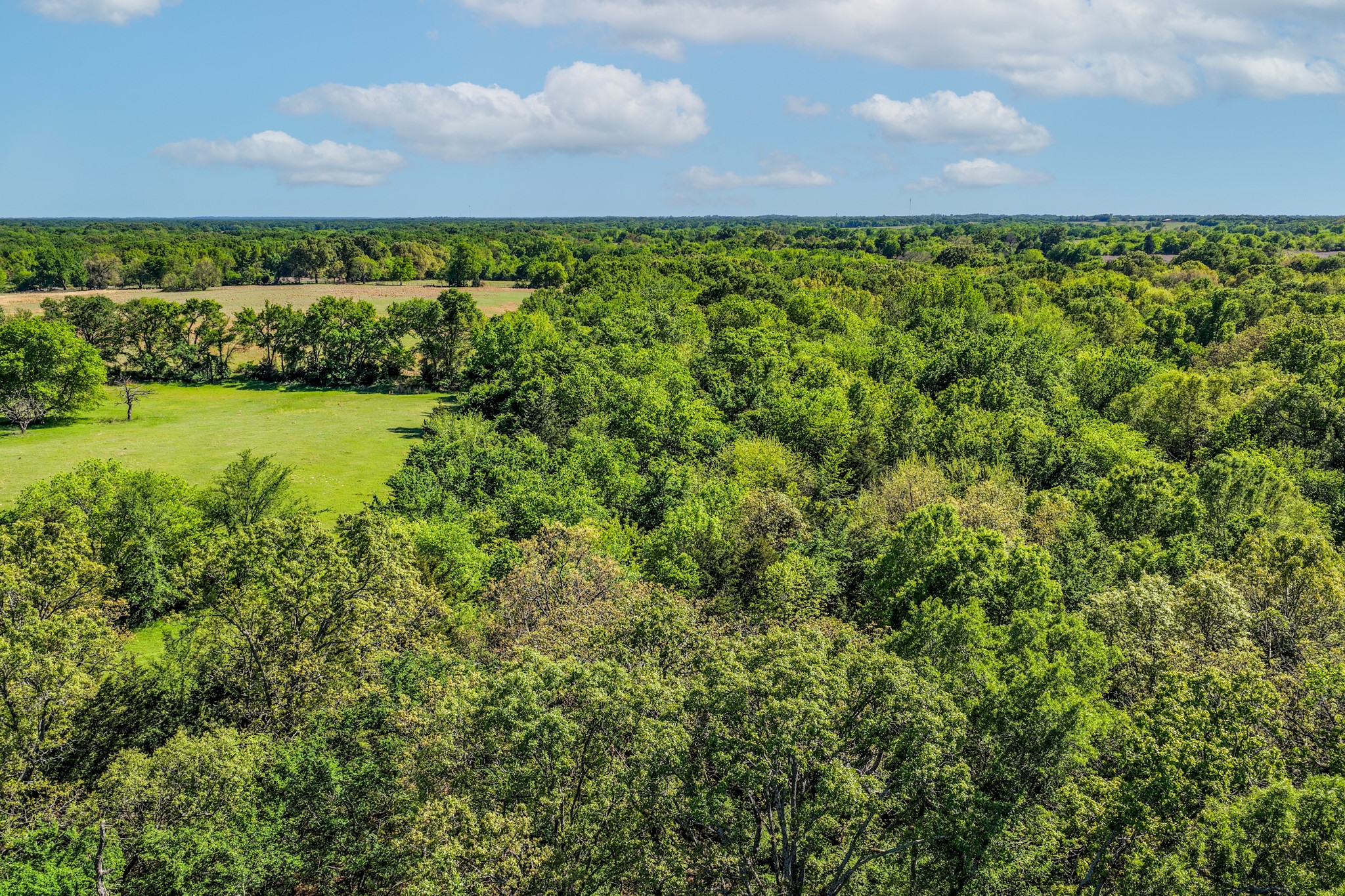 000 County Road 1445 Sulphur Springs TX 75482