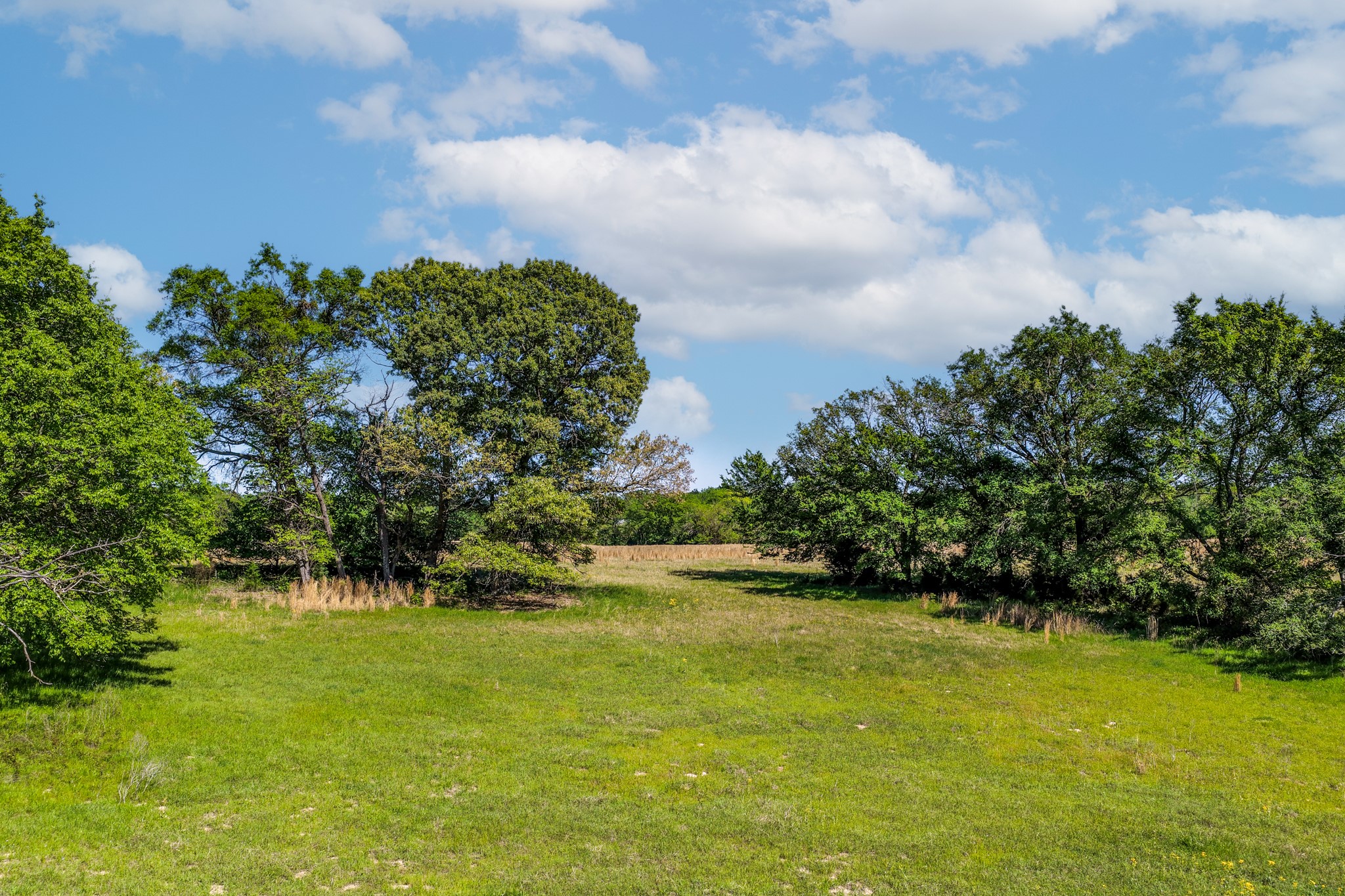 000 County Road 1445 Sulphur Springs TX 75482