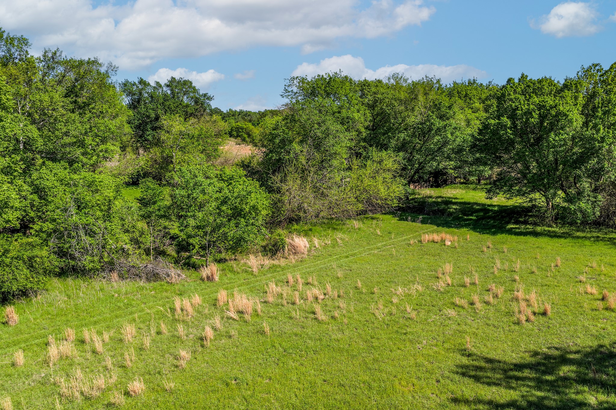 000 County Road 1445 Sulphur Springs TX 75482
