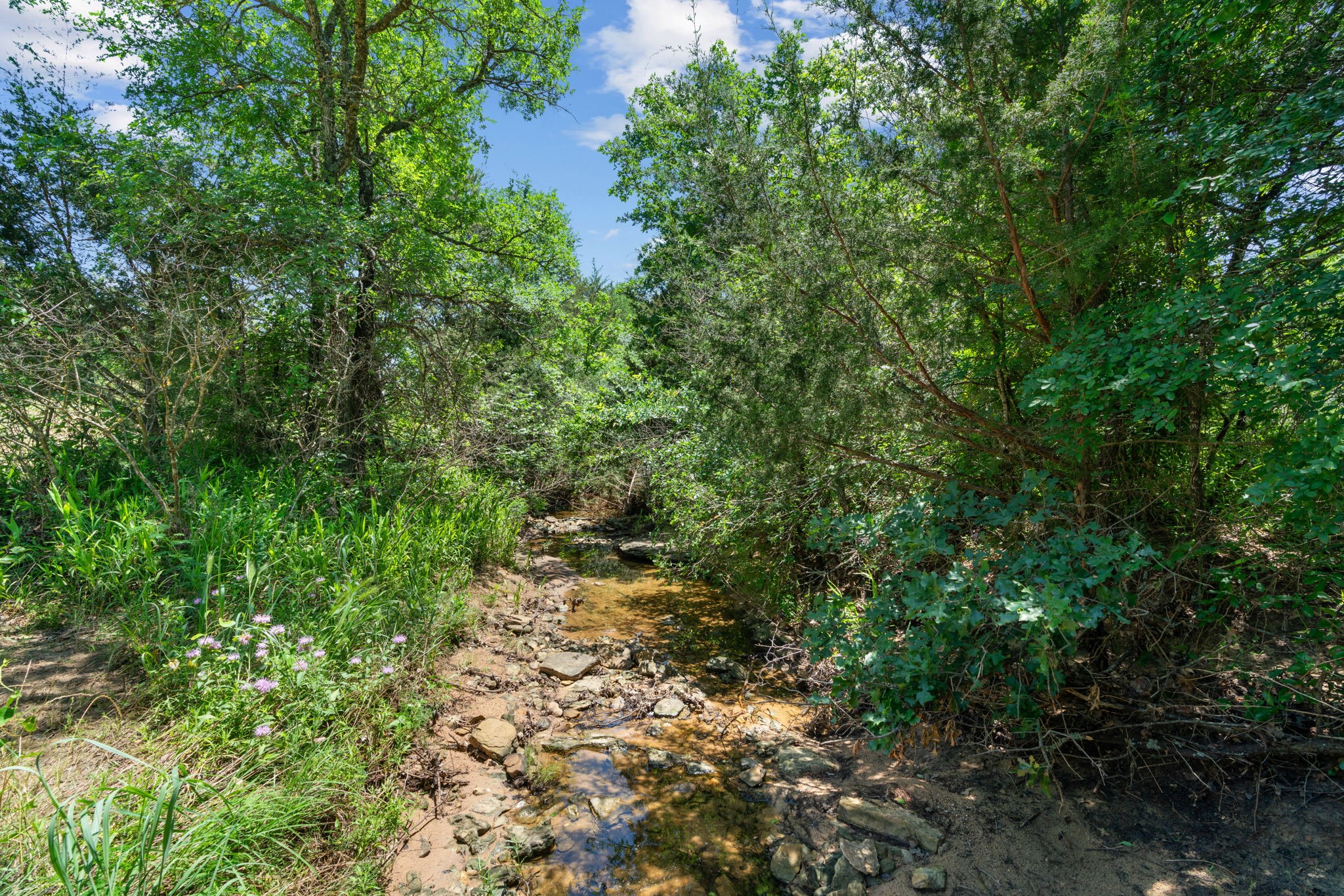 1385 Cr-1340 Chico TX 76431