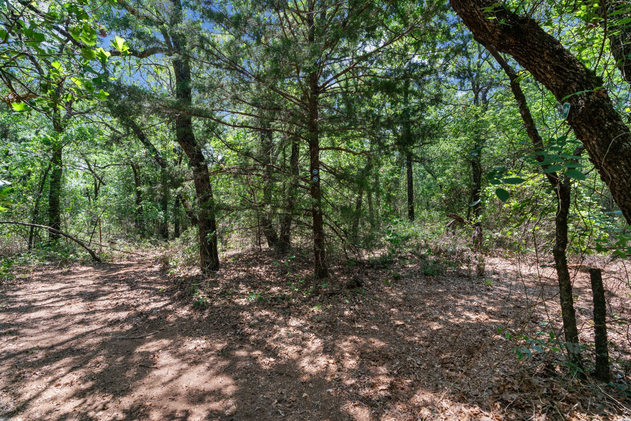 1385 Cr-1340 Chico TX 76431