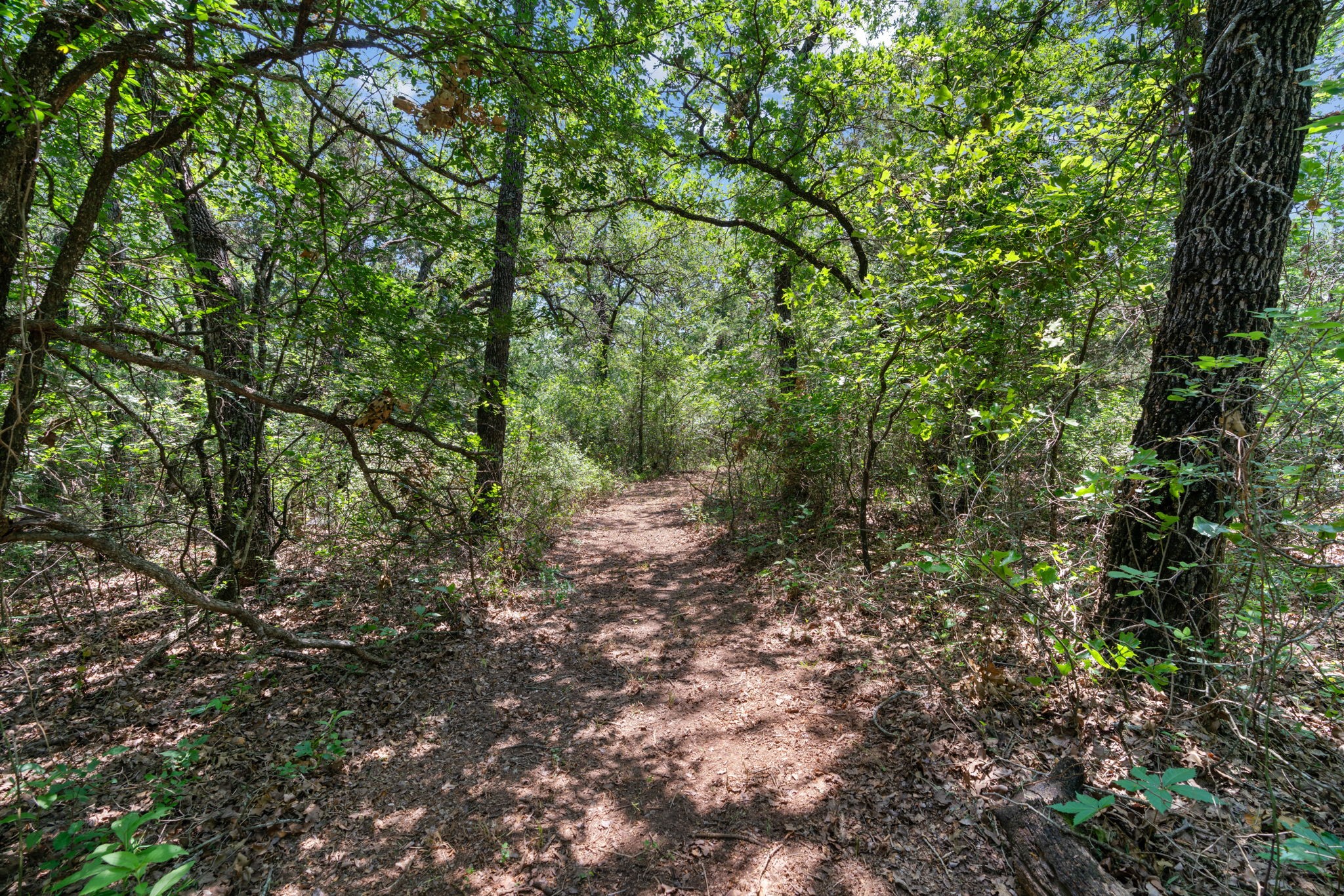 1385 Cr-1340 Chico TX 76431