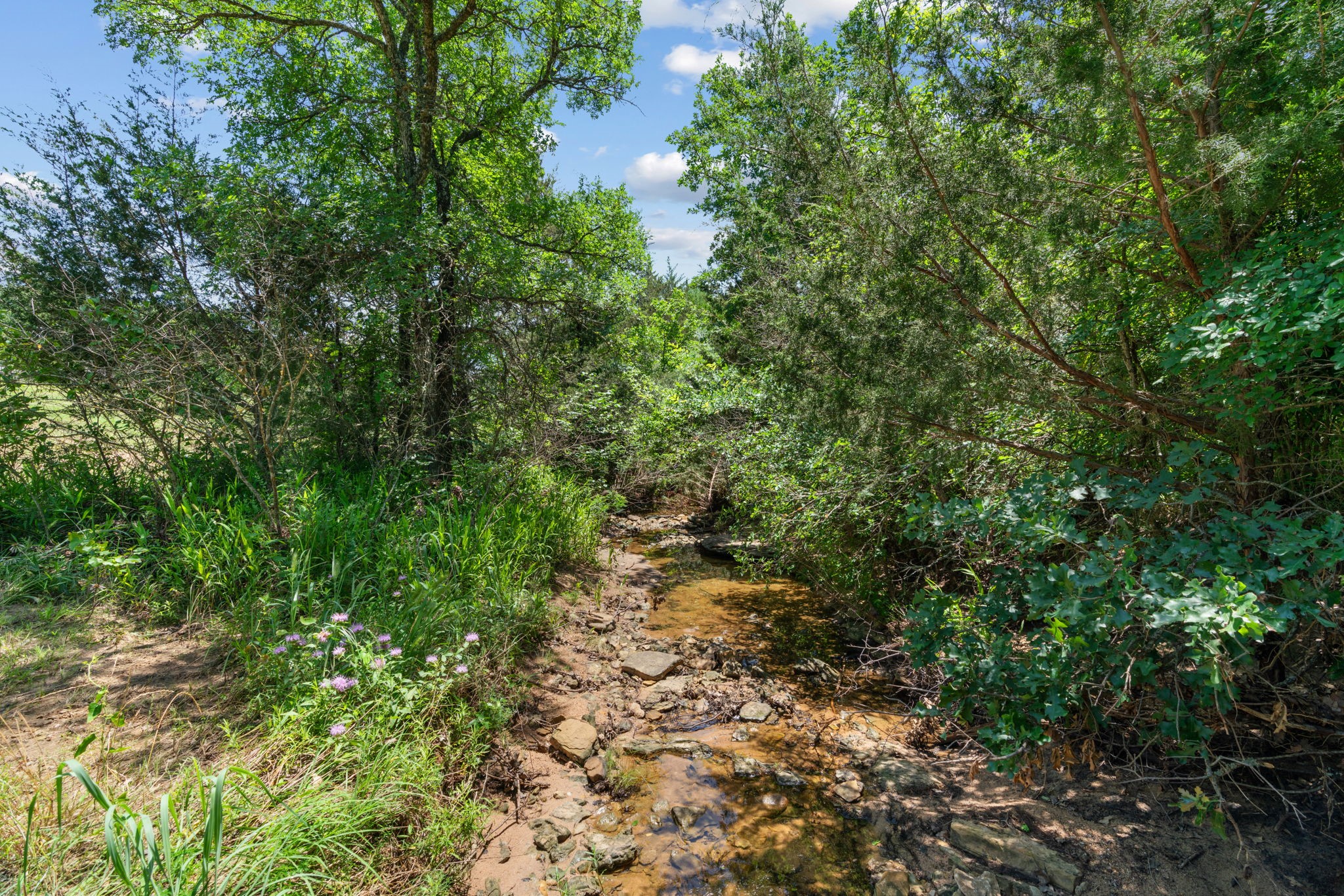 1385 Cr-1340 Chico TX 76431