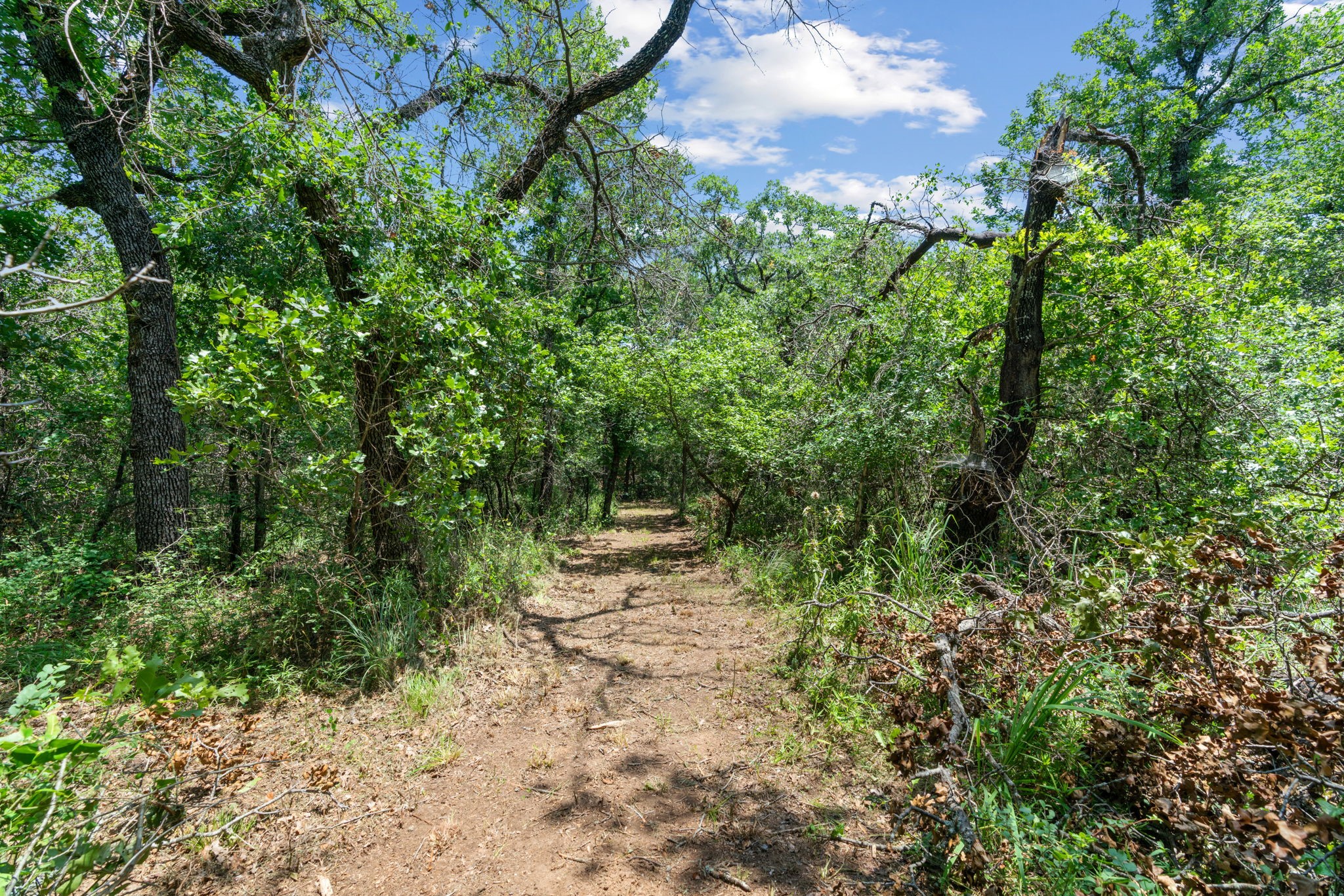 1385 Cr-1340 Chico TX 76431