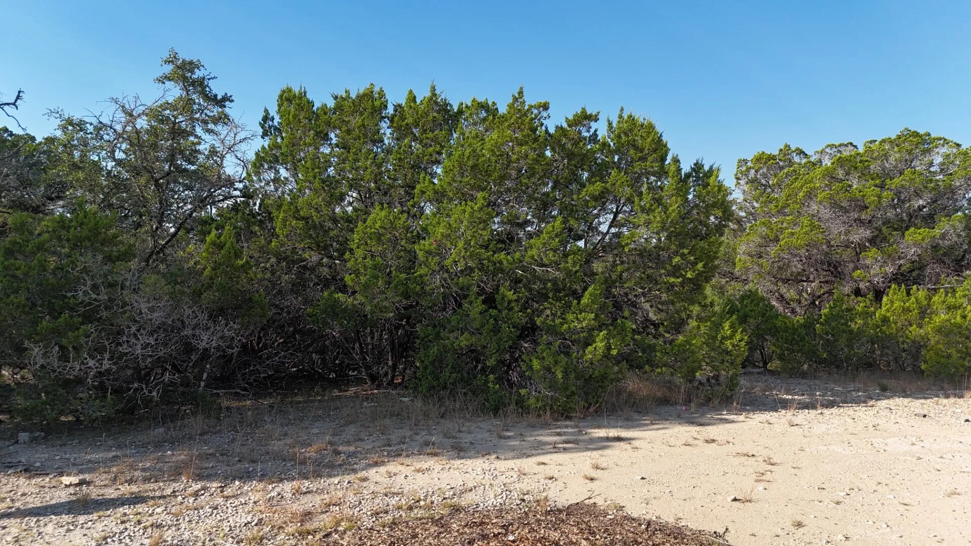 Lot 187-190 Atascosa Road Bandera TX 78003