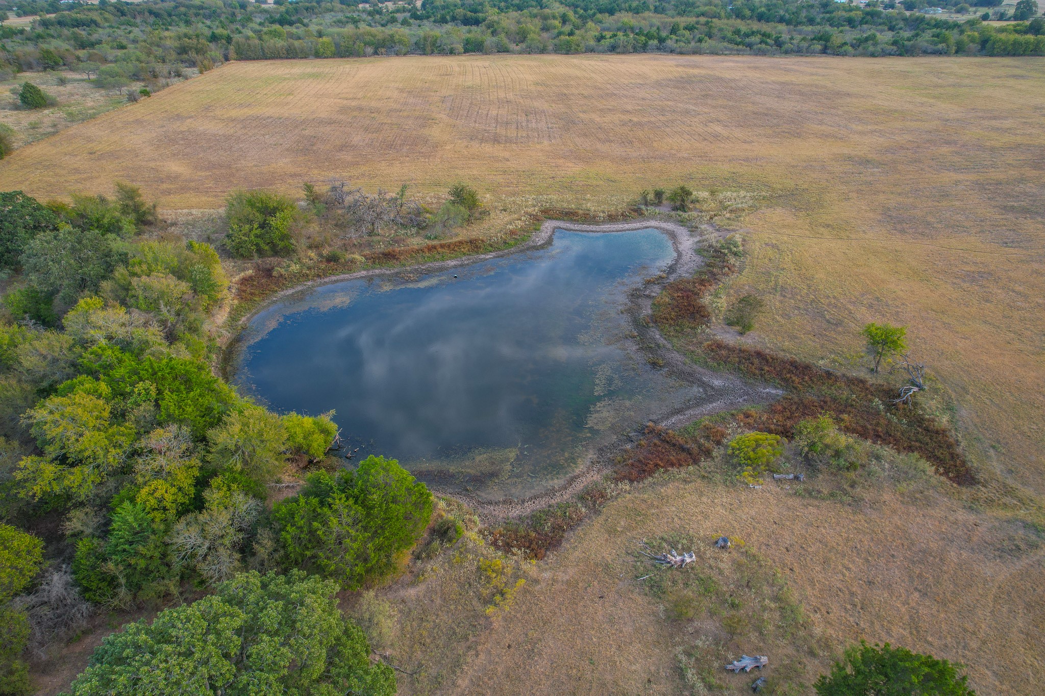 0 NE 3130 Kerens TX 75144