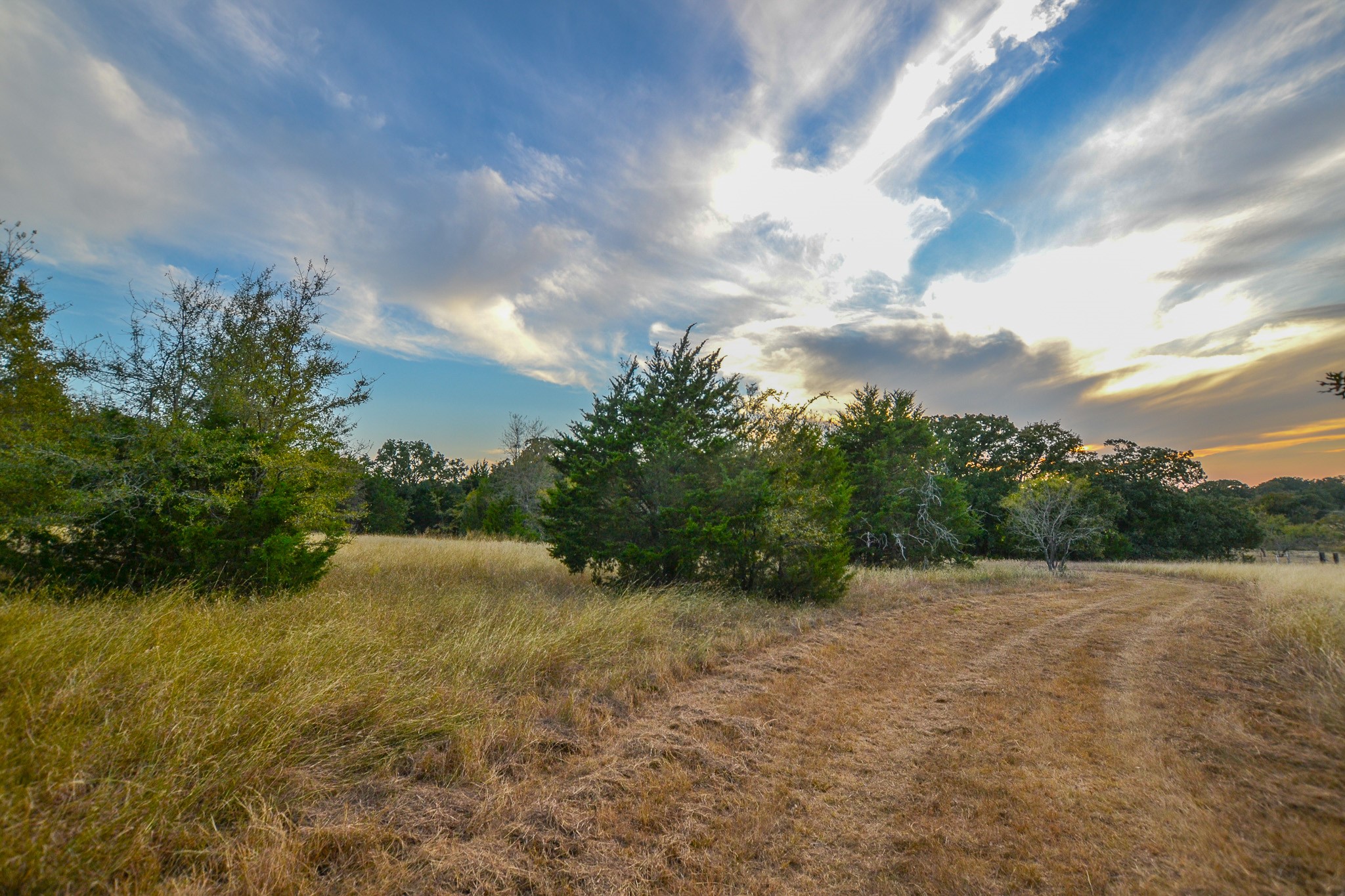 0 NE 3130 Kerens TX 75144