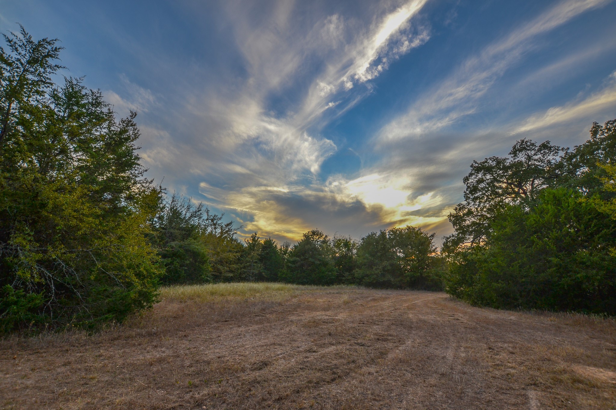 0 NE 3130 Kerens TX 75144