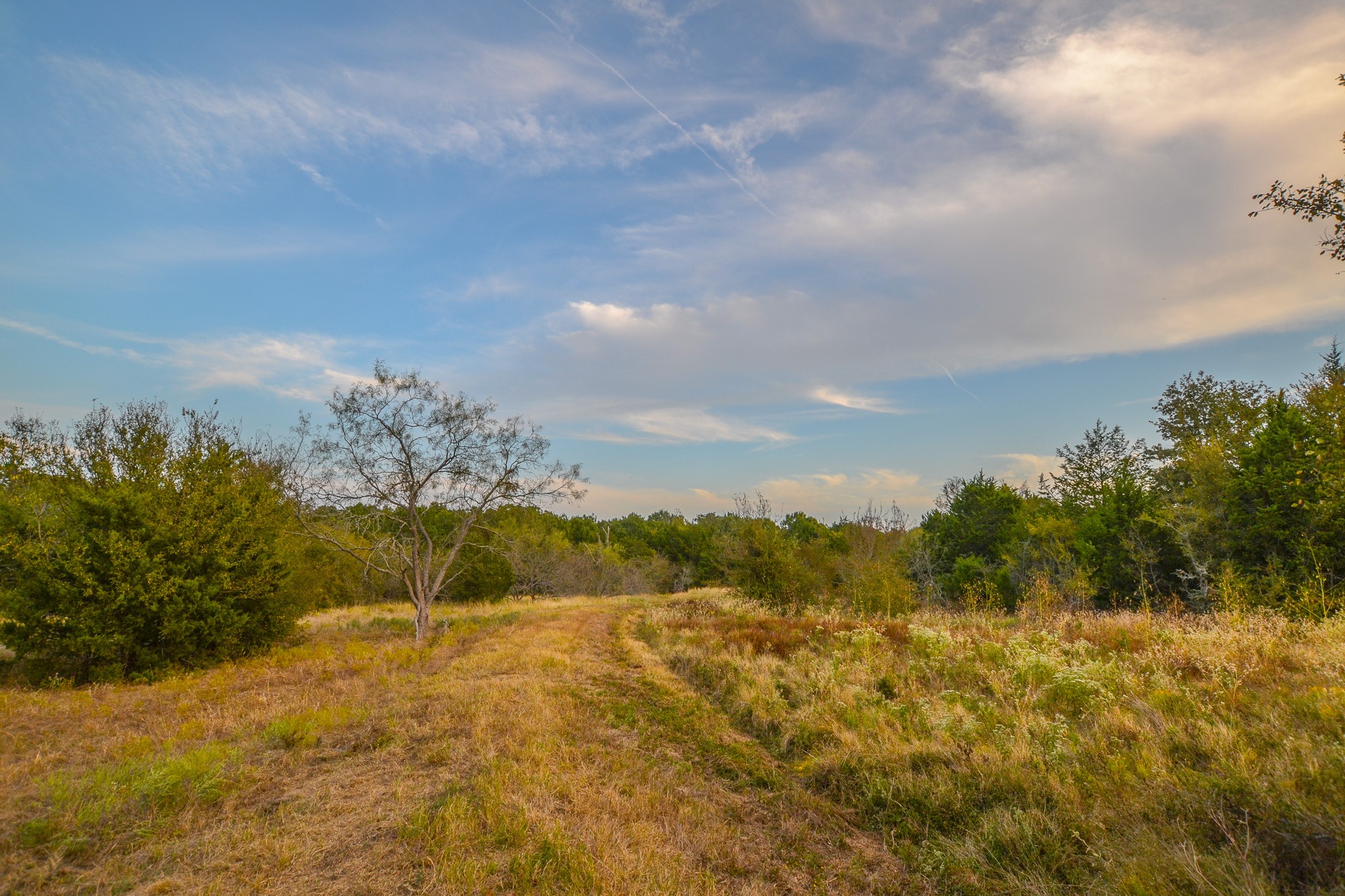 0 NE 3130 Kerens TX 75144