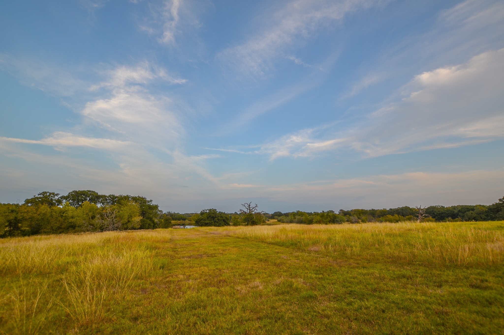 0 NE 3130 Kerens TX 75144