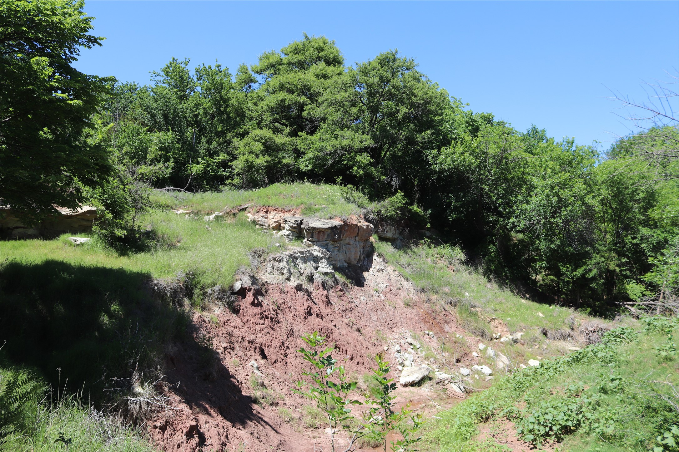 192 Acres Fm 171 Byers TX 76357