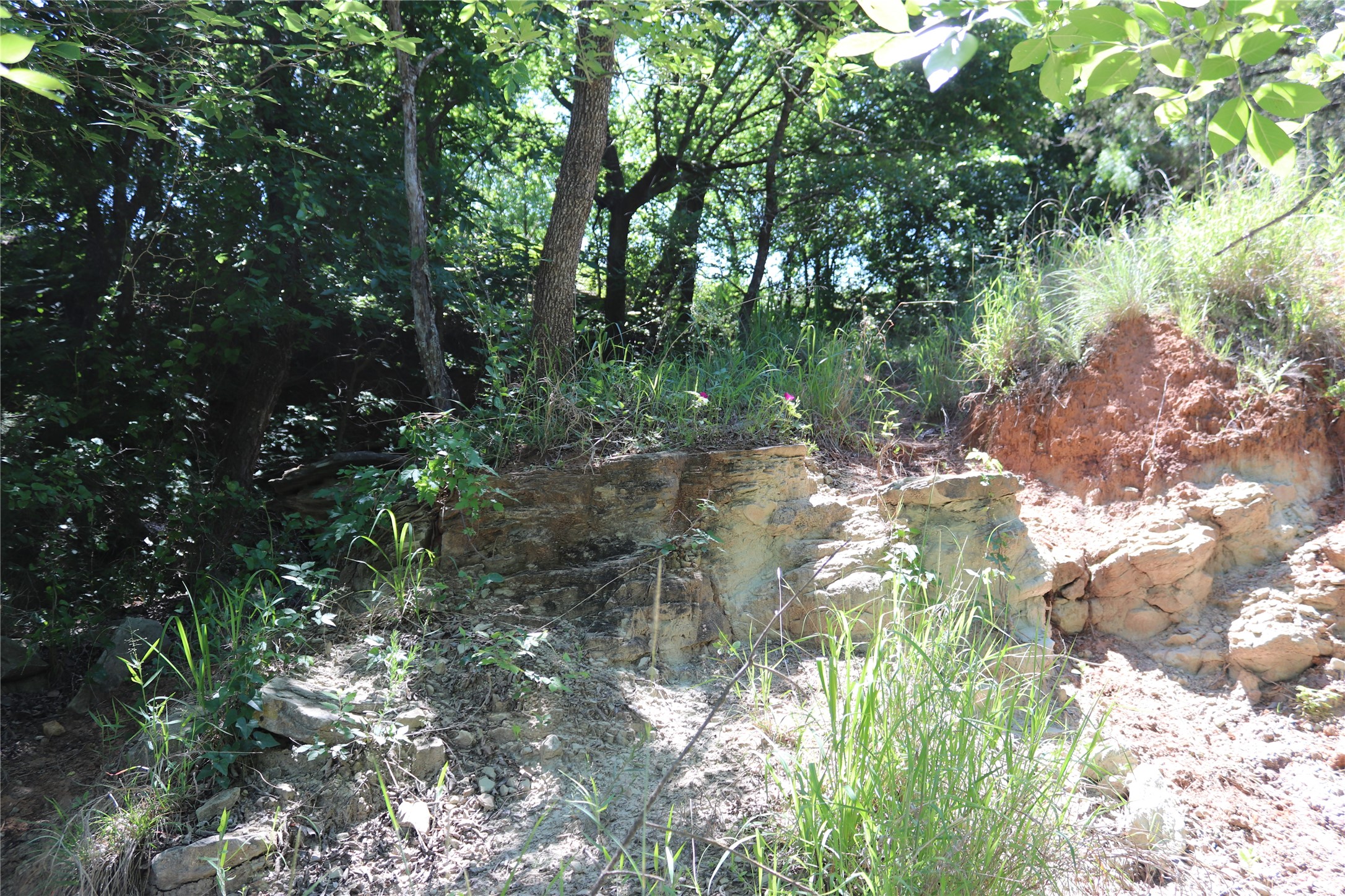 192 Acres Fm 171 Byers TX 76357