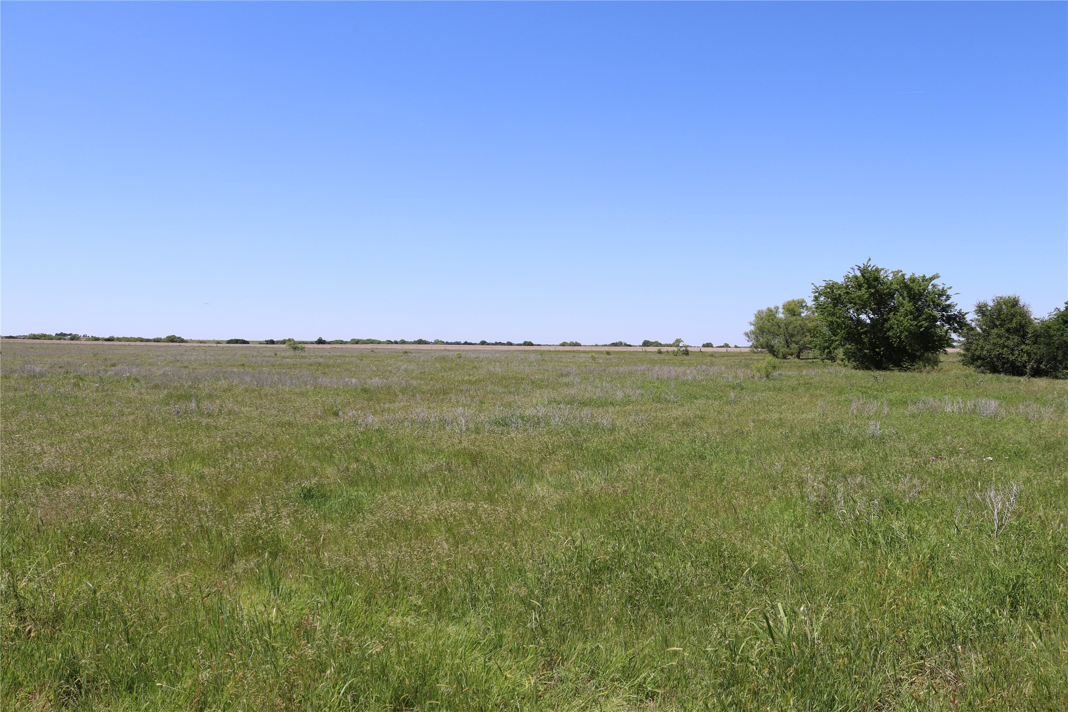 192 Acres Fm 171 Byers TX 76357