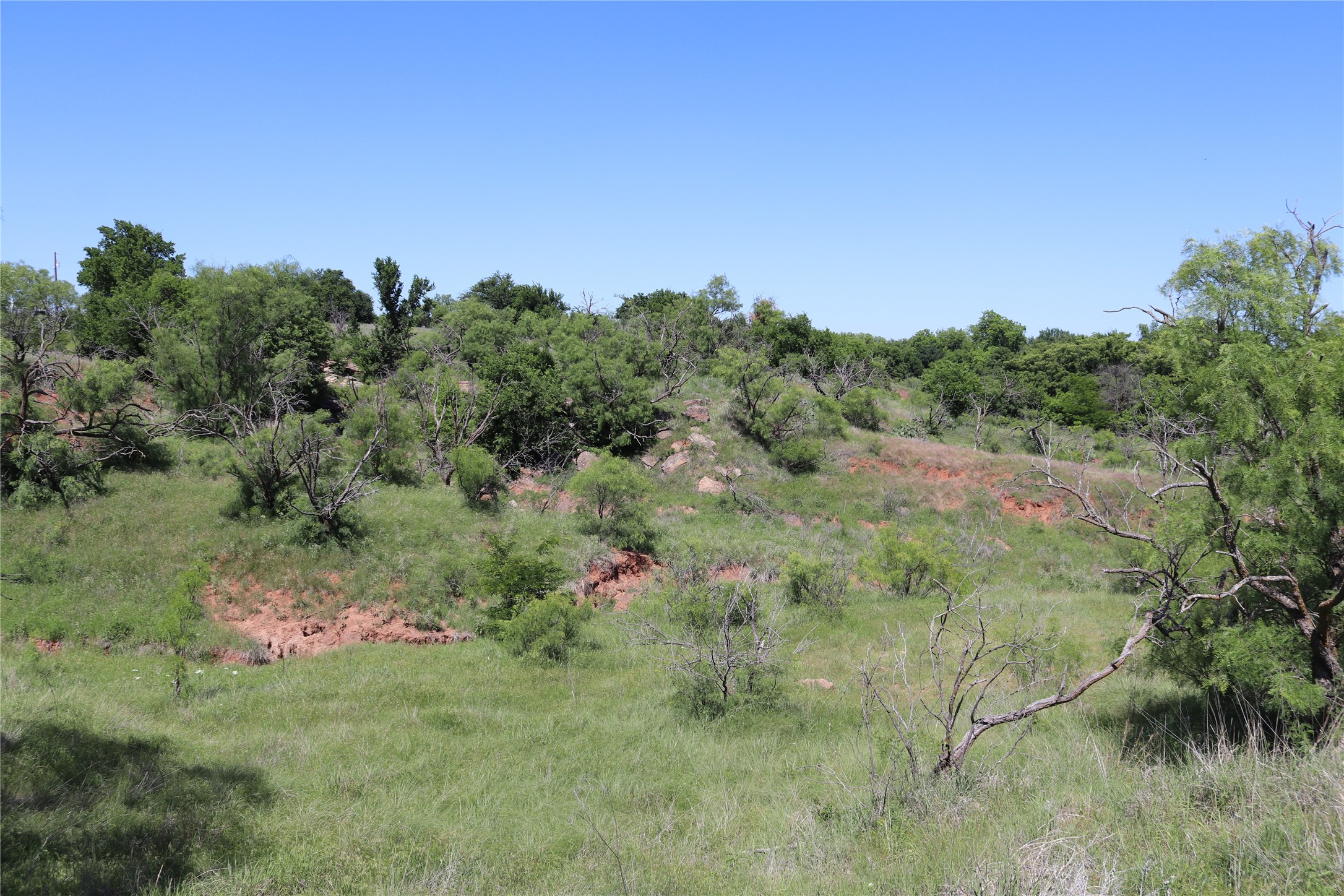 192 Acres Fm 171 Byers TX 76357