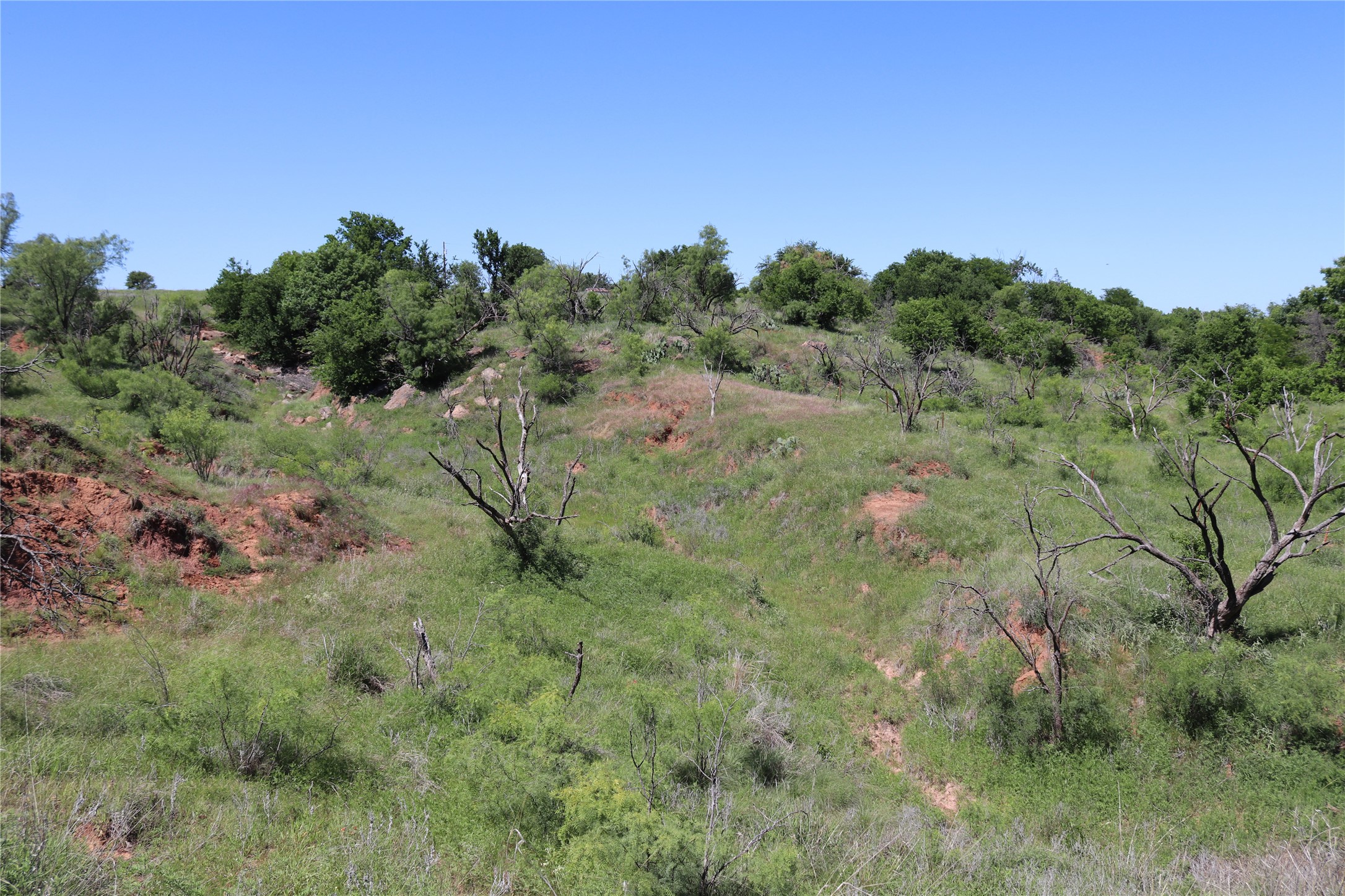 192 Acres Fm 171 Byers TX 76357
