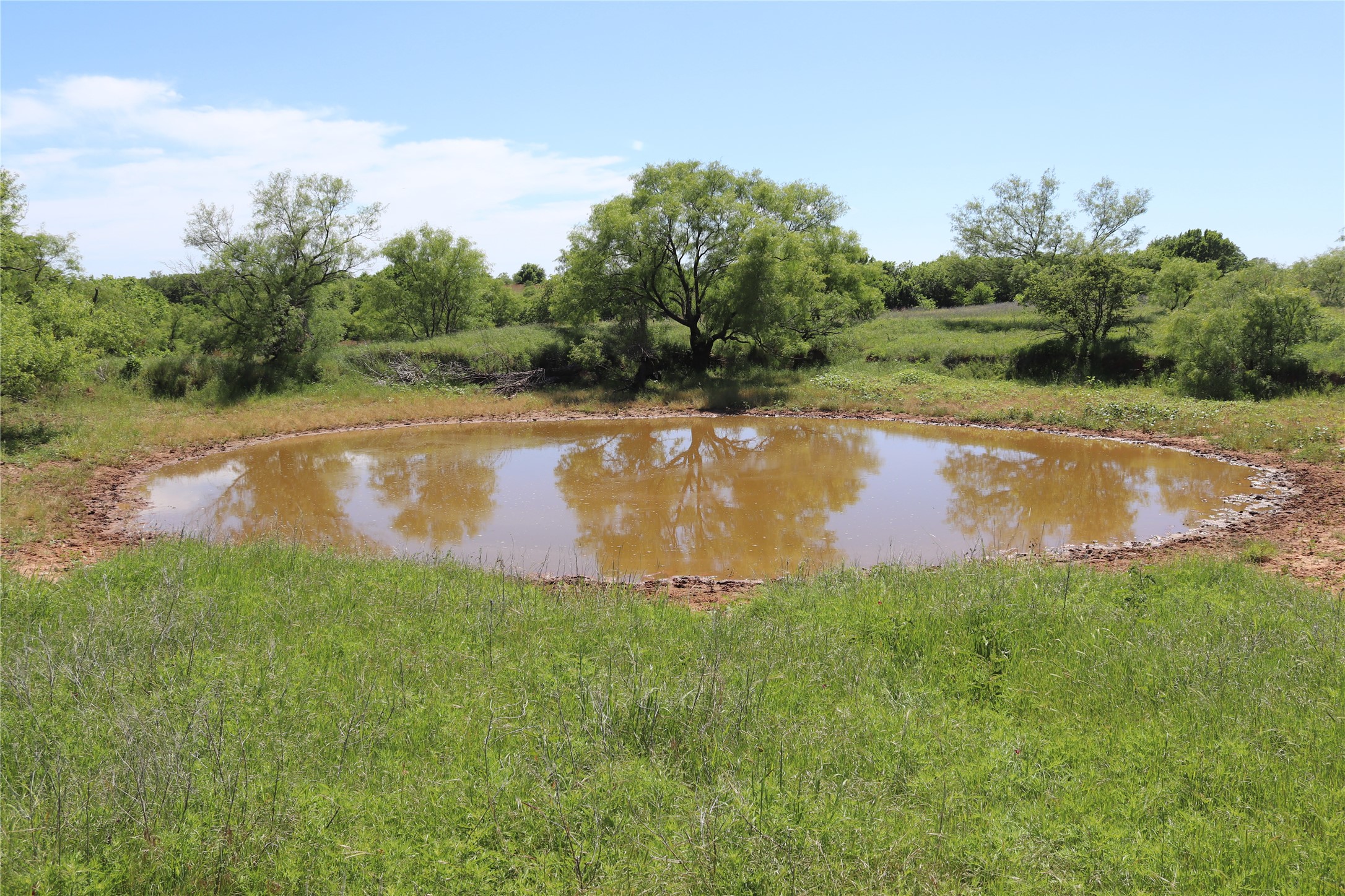 192 Acres Fm 171 Byers TX 76357