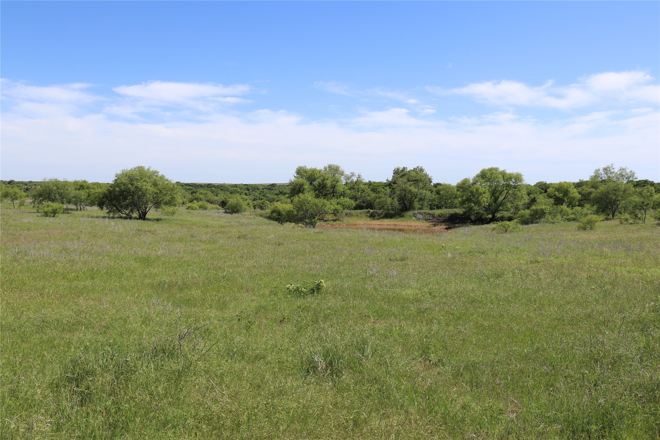 192 Acres Fm 171 Byers TX 76357