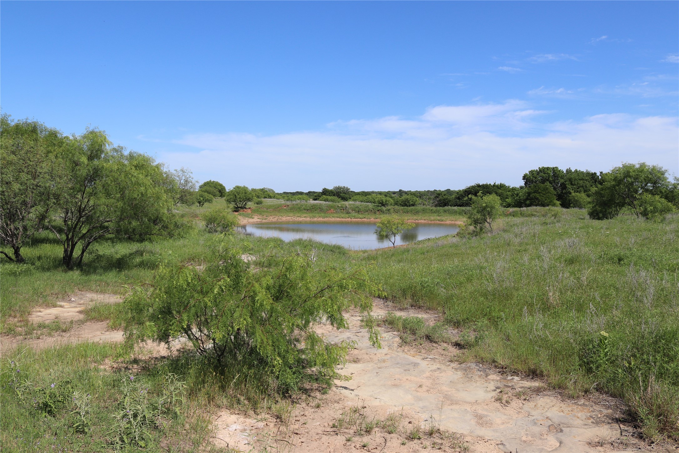 192 Acres Fm 171 Byers TX 76357