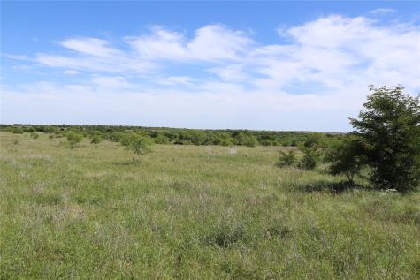 192 Acres Fm 171 Byers TX 76357