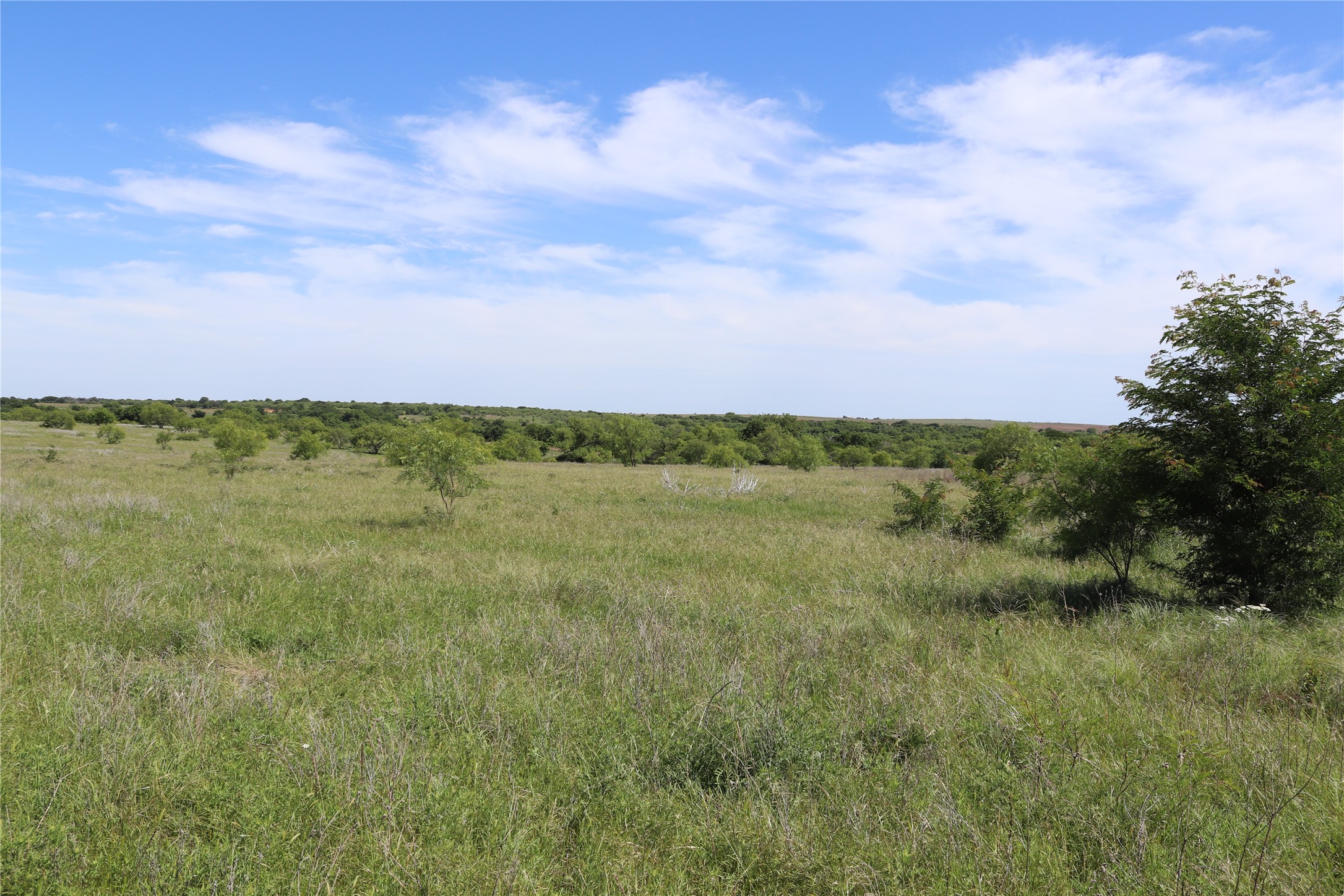 192 Acres Fm 171 Byers TX 76357