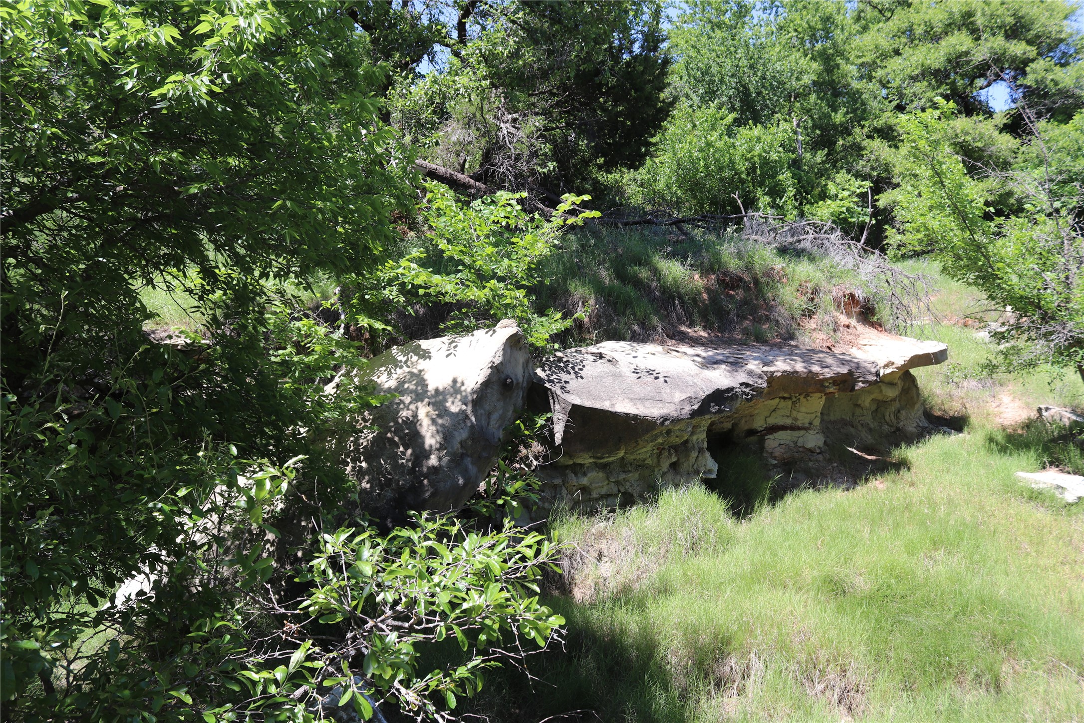 192 Acres Fm 171 Byers TX 76357