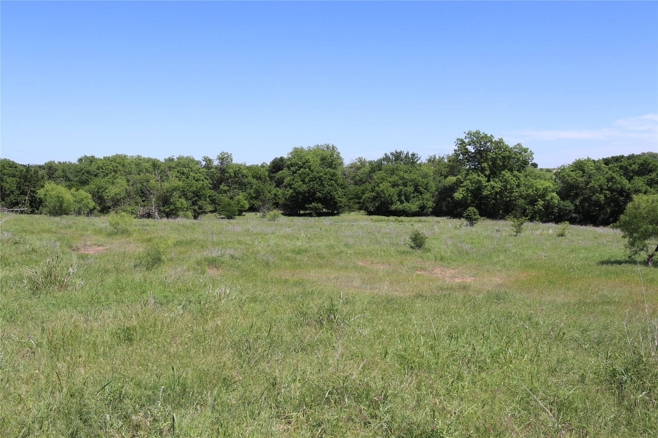 192 Acres Fm 171 Byers TX 76357