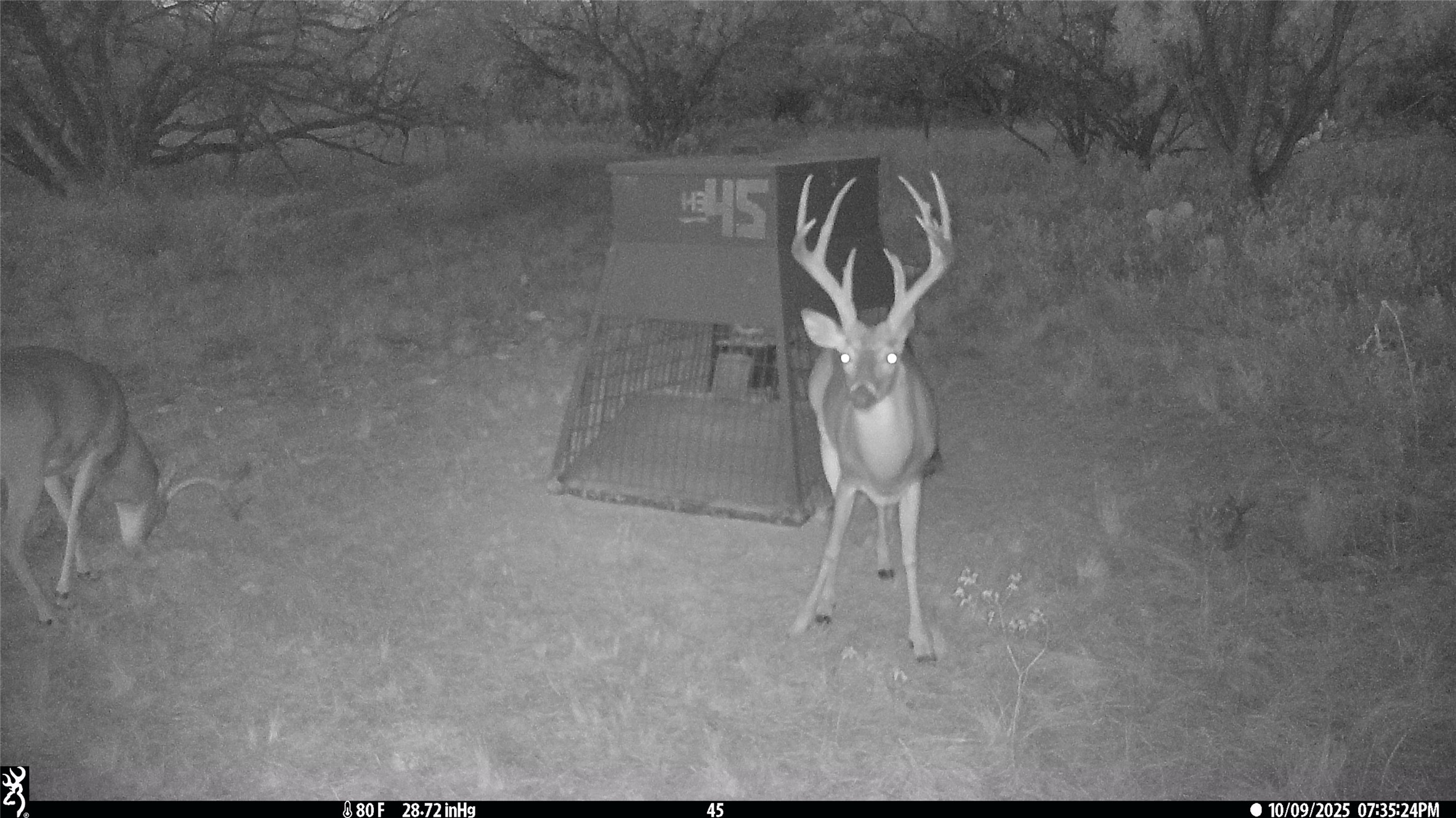 Tbd County Road 291 Breckenridge TX 76464