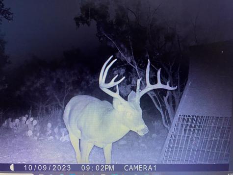 tbd Tbd County Road 291 Breckenridge TX 76464
