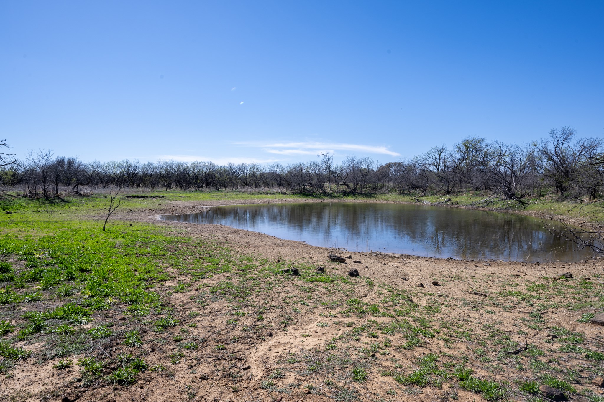 Tbd County Road 291 Breckenridge TX 76464