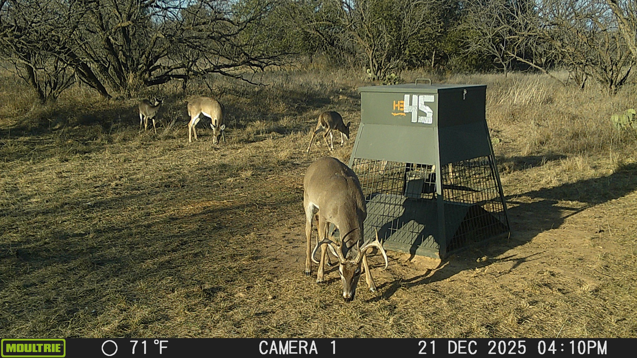 Tbd County Road 291 Breckenridge TX 76464