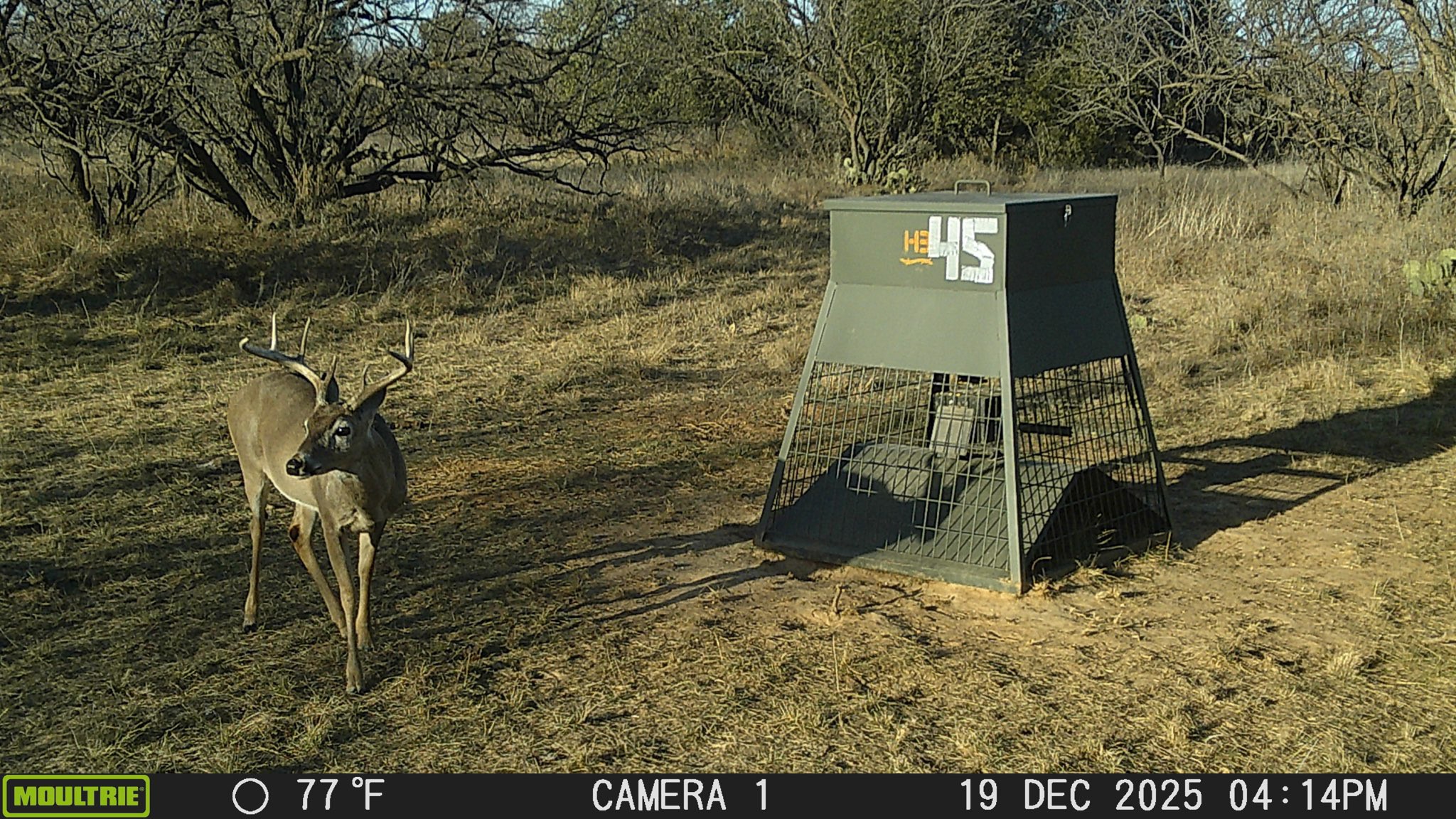 Tbd County Road 291 Breckenridge TX 76464