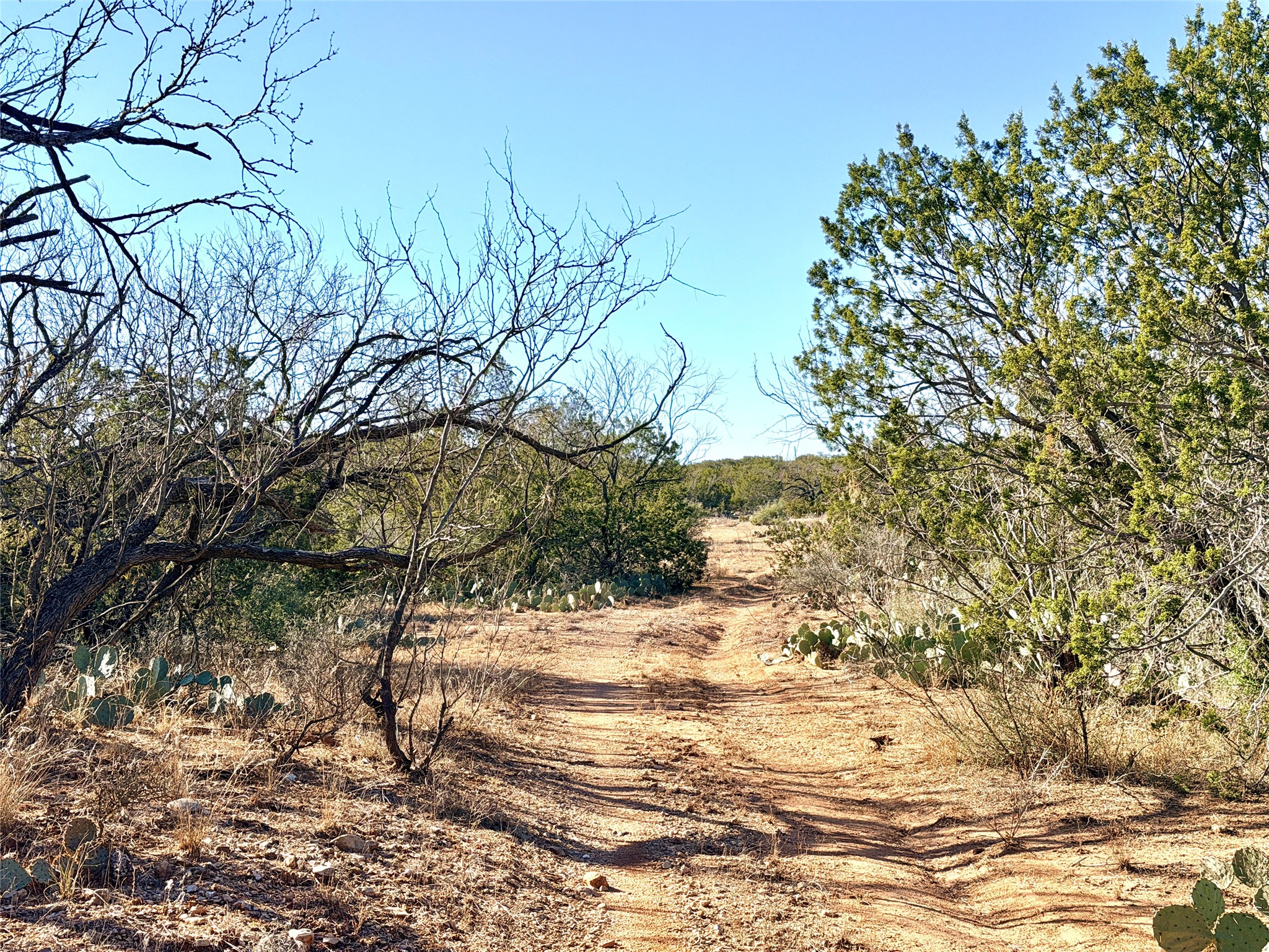 5530 Highway 158 Robert Lee TX 76945