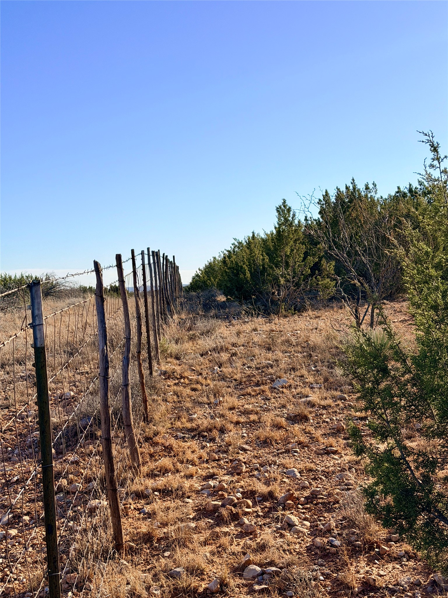 5530 Highway 158 Robert Lee TX 76945