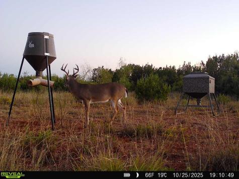 5530 Highway 158 Robert Lee TX 76945