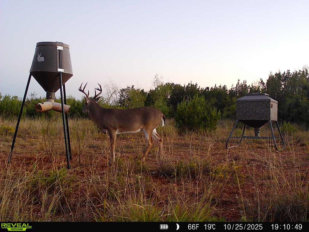 5530 Highway 158 Robert Lee TX 76945
