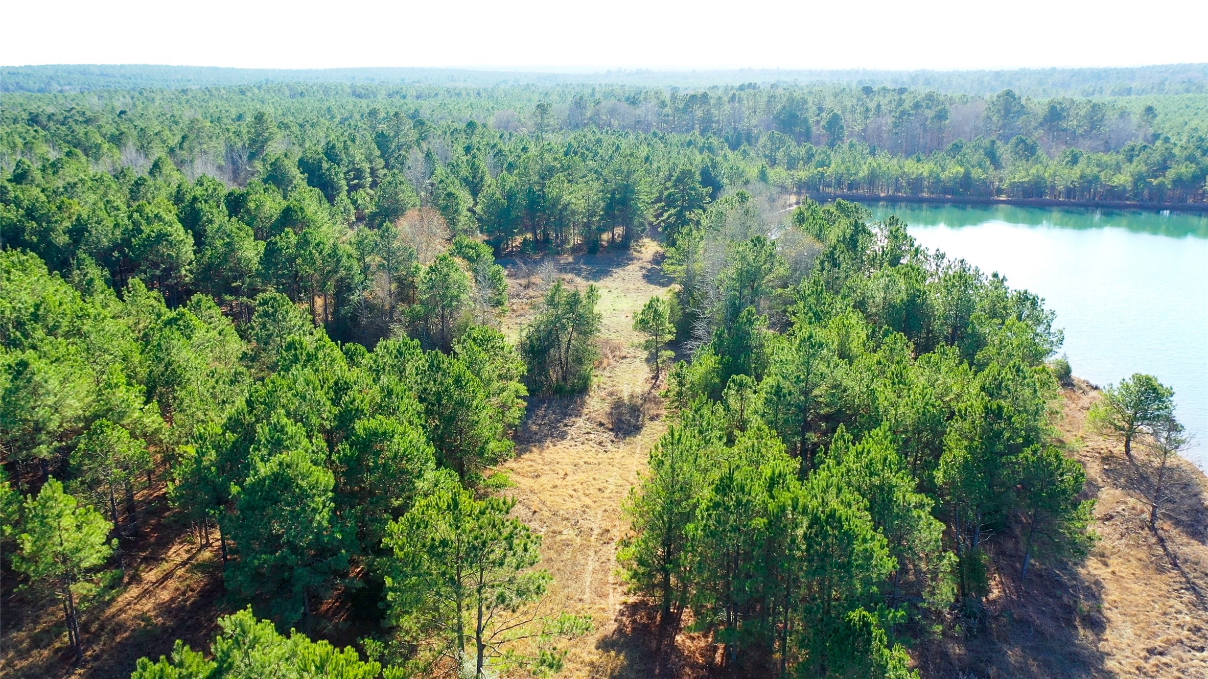 Tbd Highway 49 Jefferson TX 75657