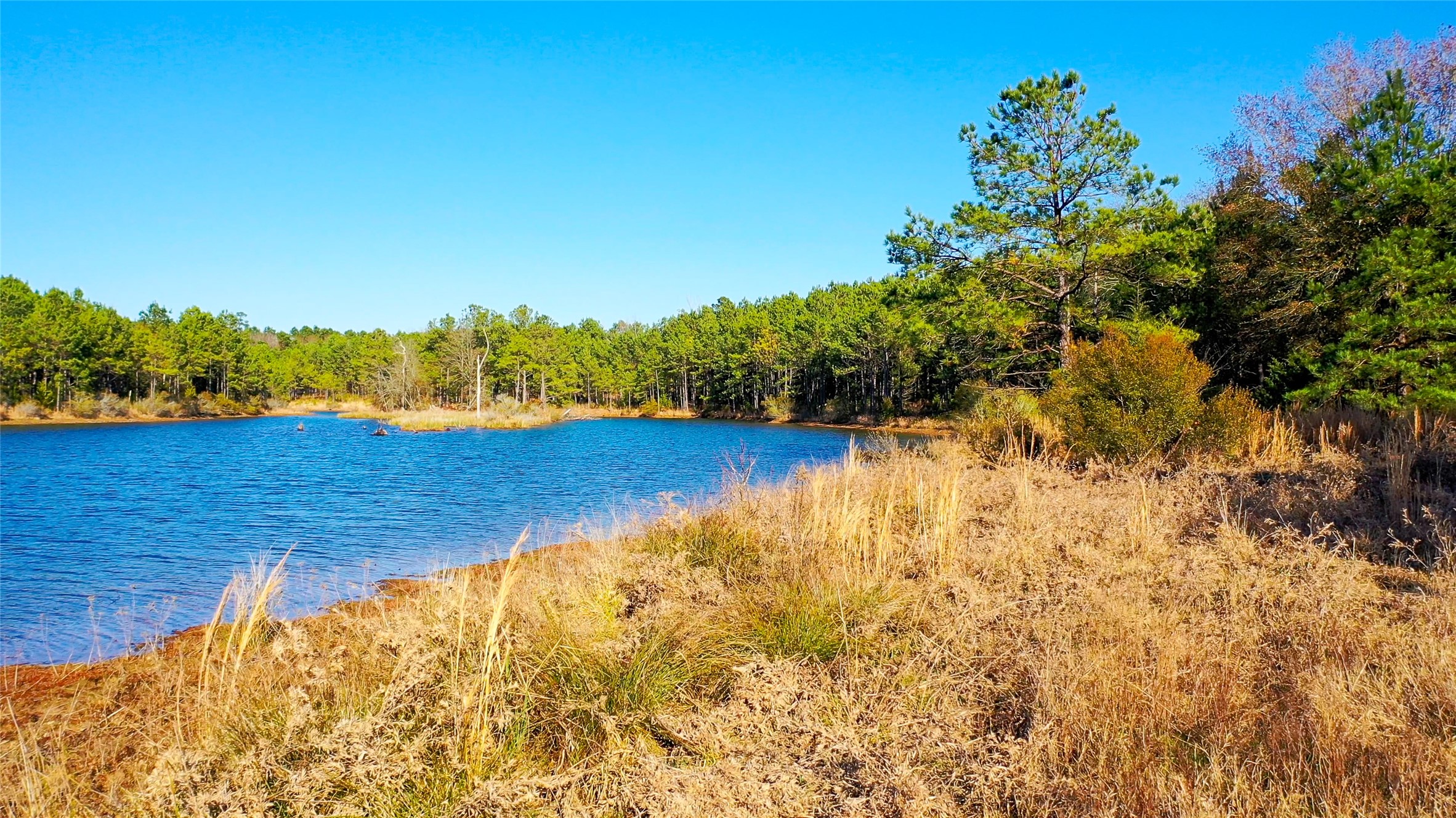 Tbd Highway 49 Jefferson TX 75657