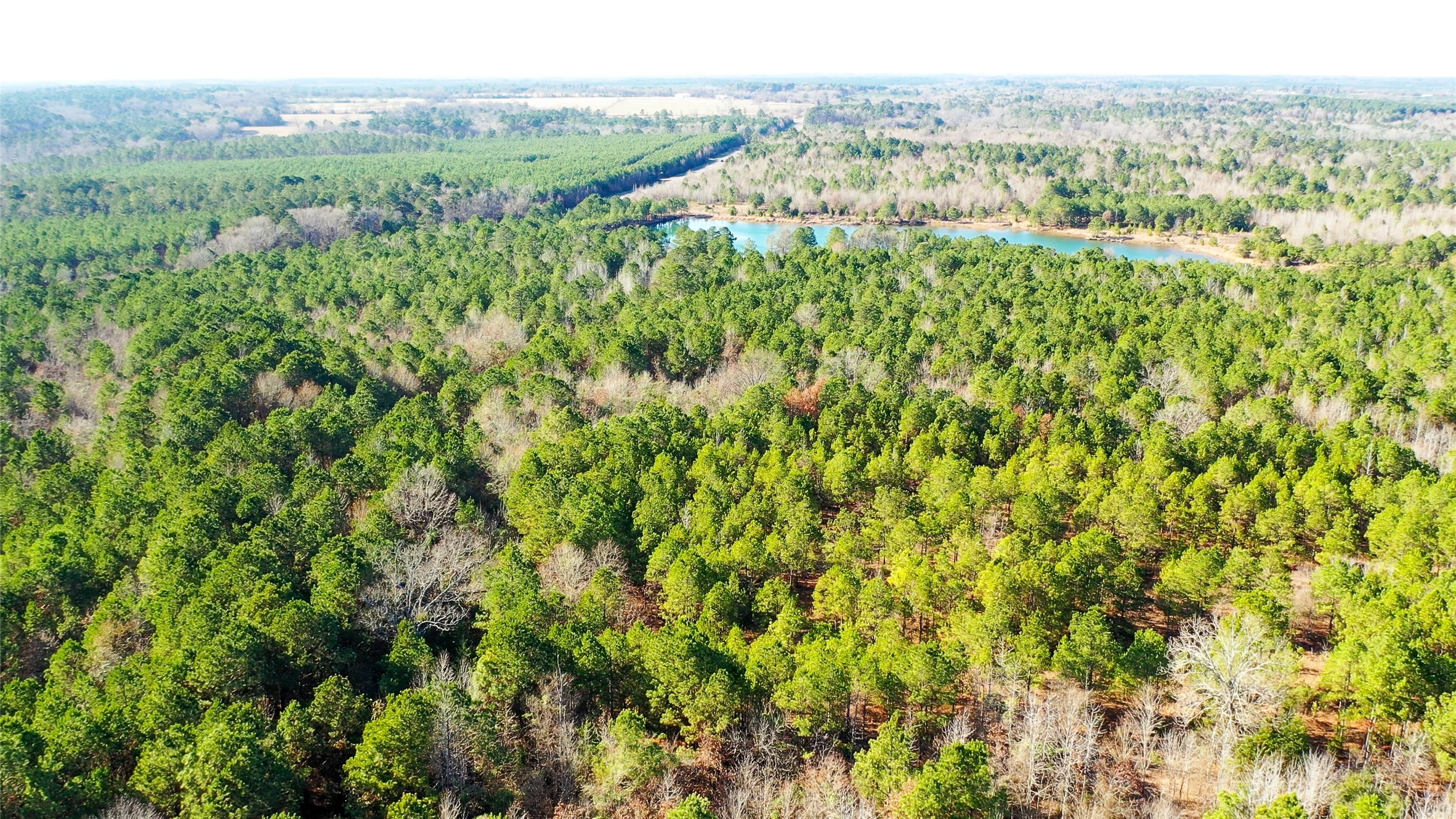 Tbd Highway 49 Jefferson TX 75657