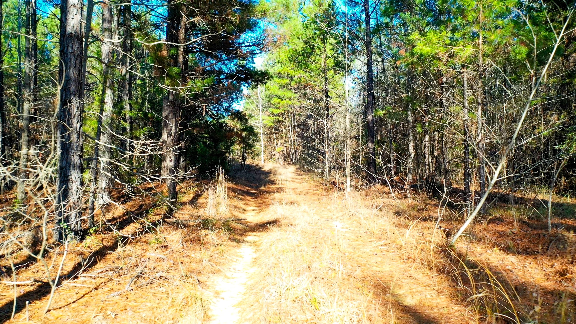 Tbd Highway 49 Jefferson TX 75657