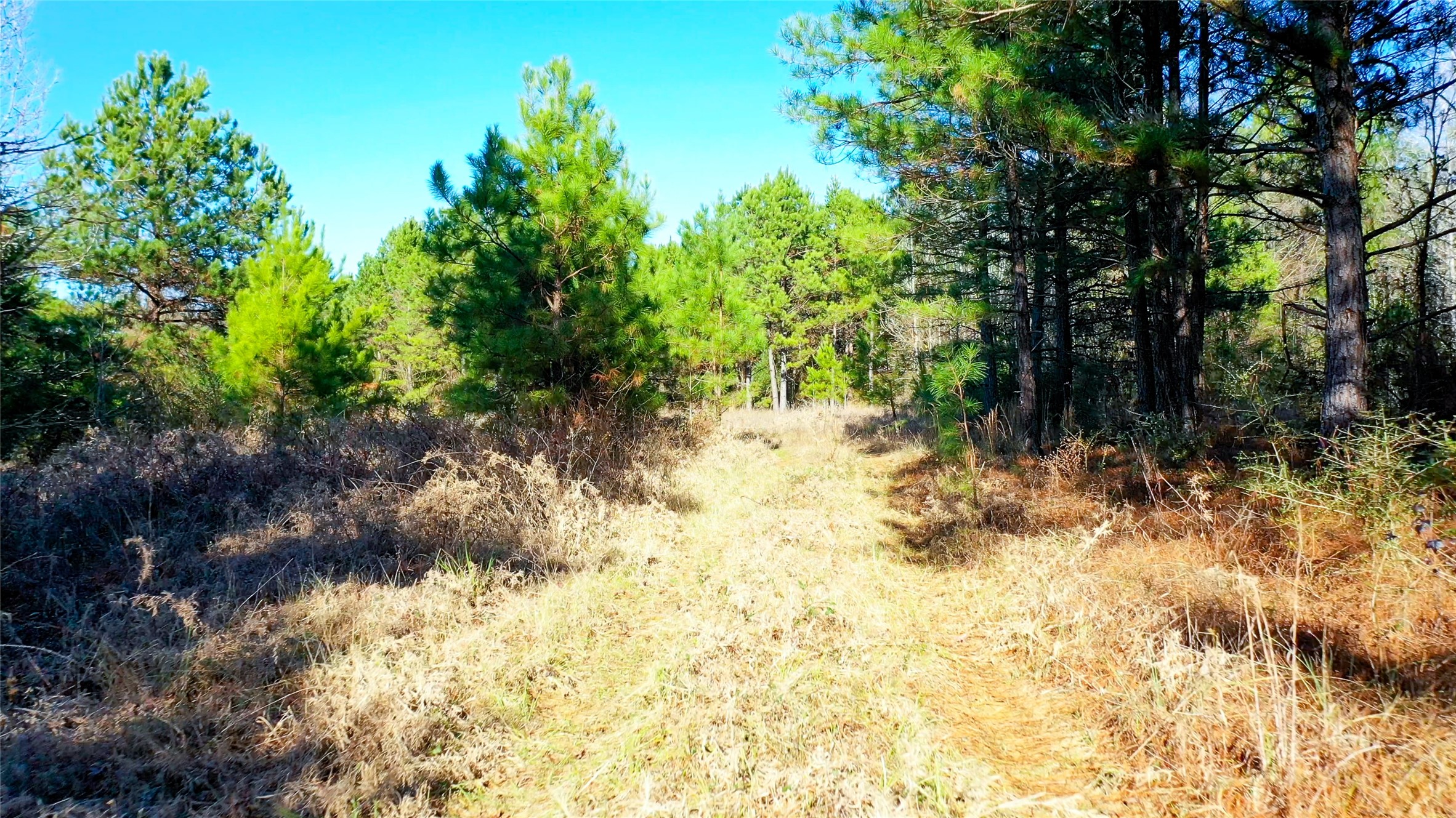 Tbd Highway 49 Jefferson TX 75657