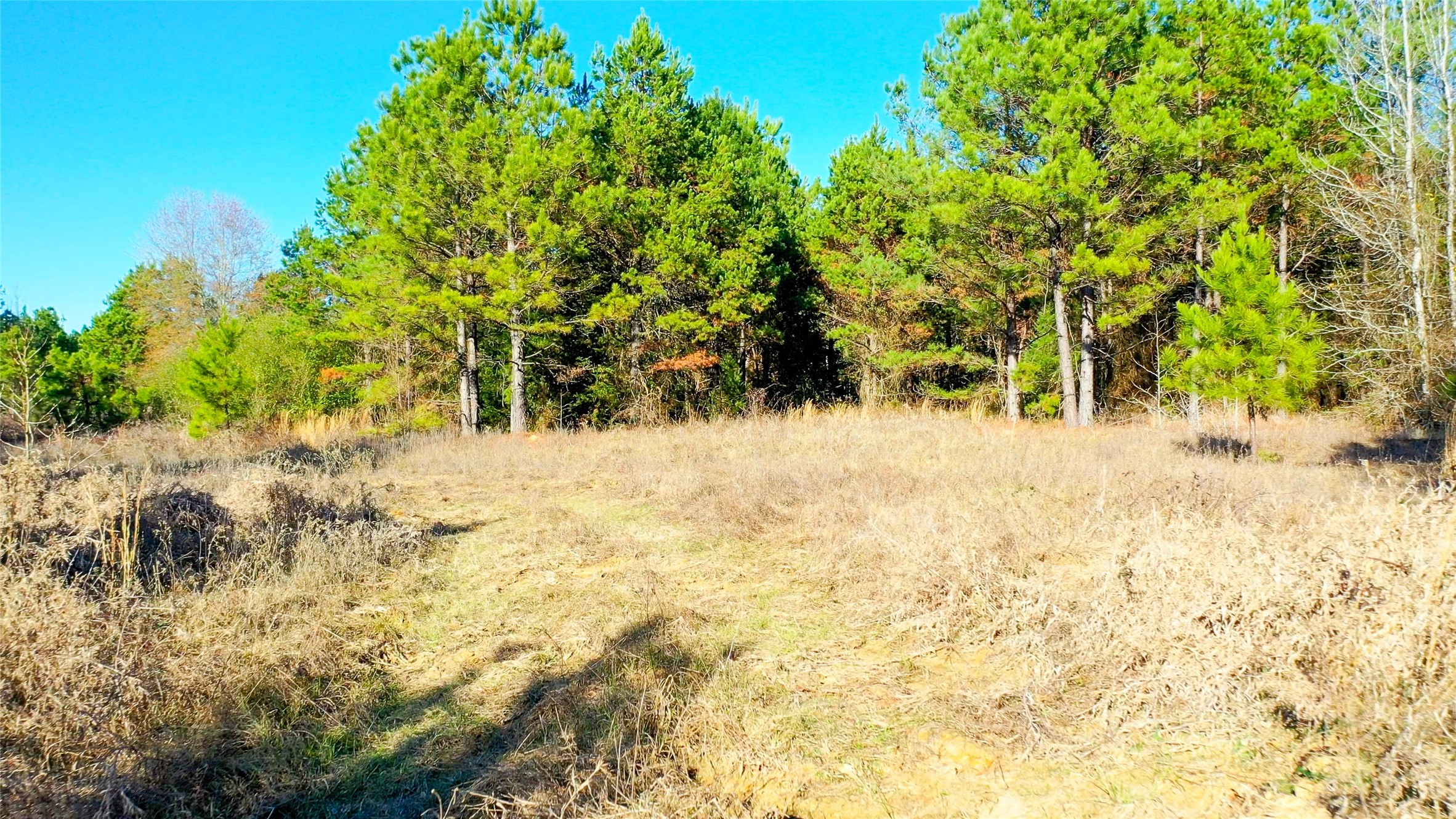 Tbd Highway 49 Jefferson TX 75657