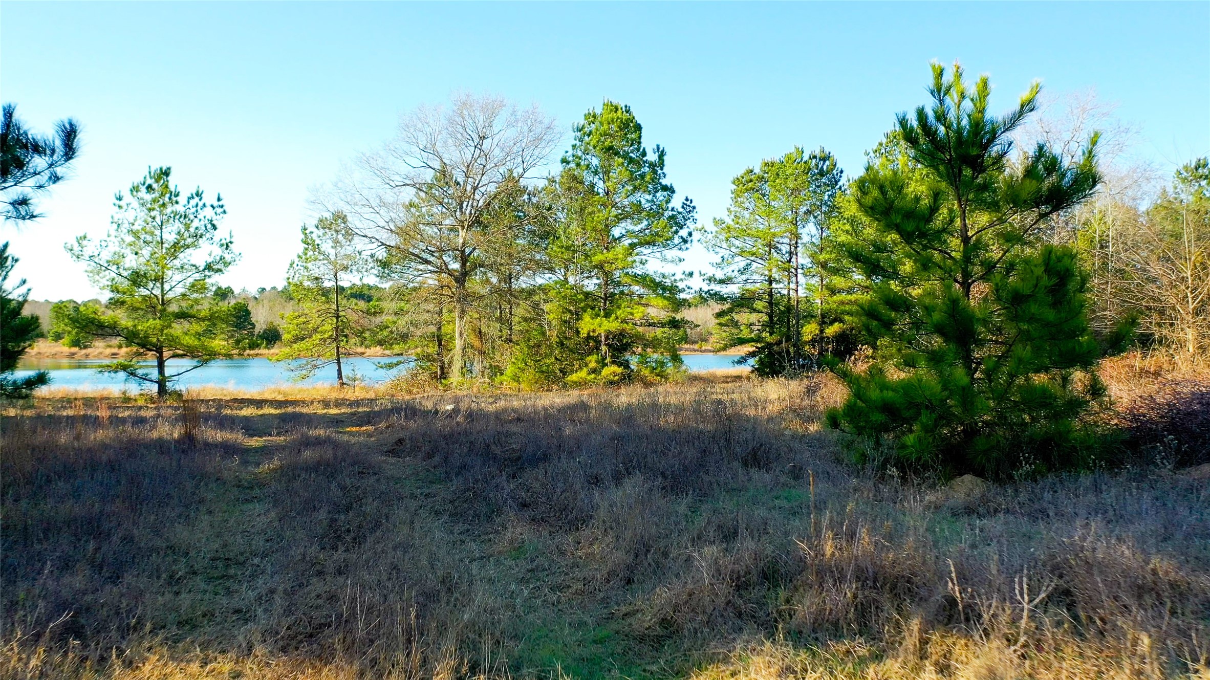 Tbd Highway 49 Jefferson TX 75657