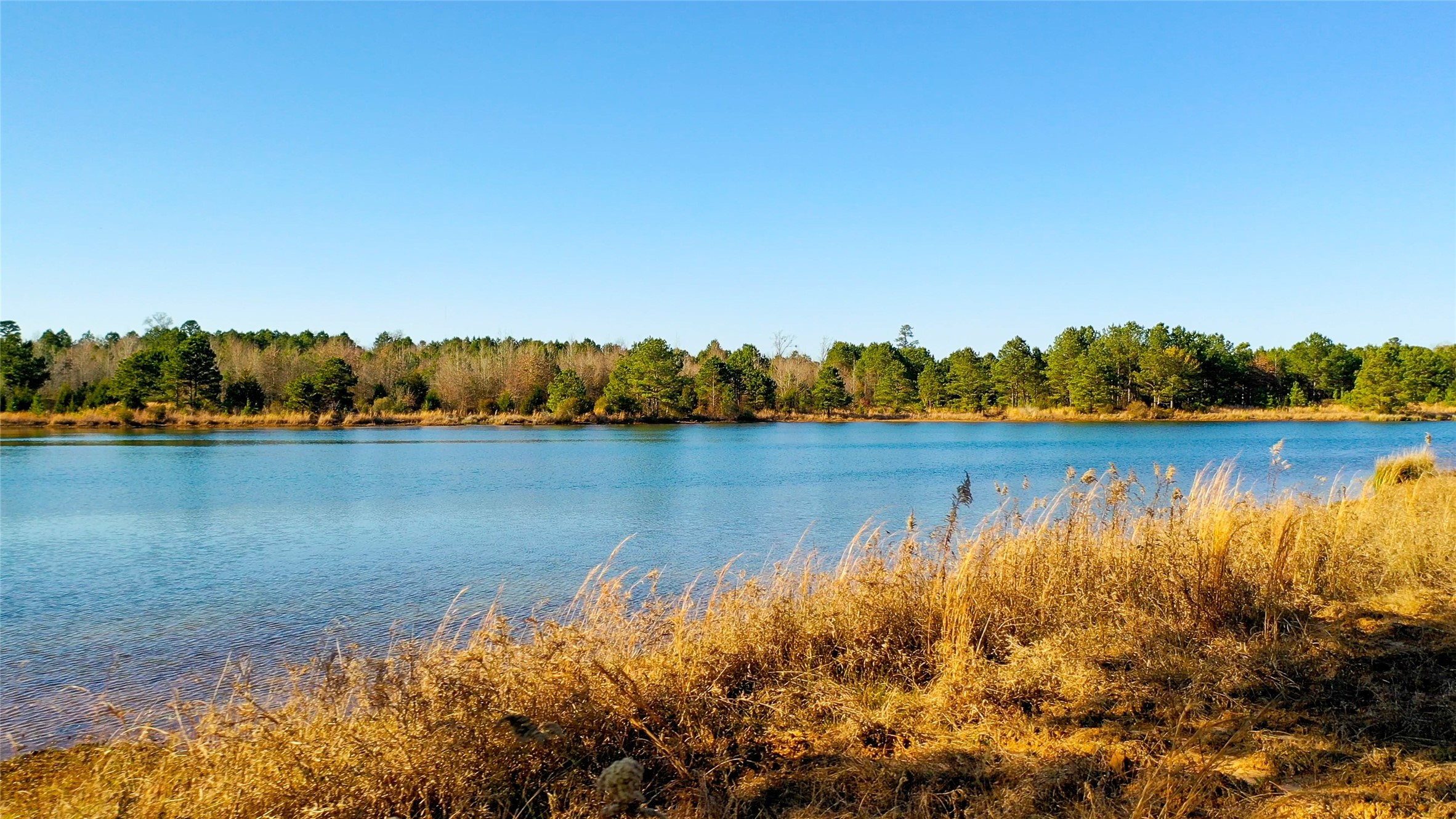 Tbd Highway 49 Jefferson TX 75657