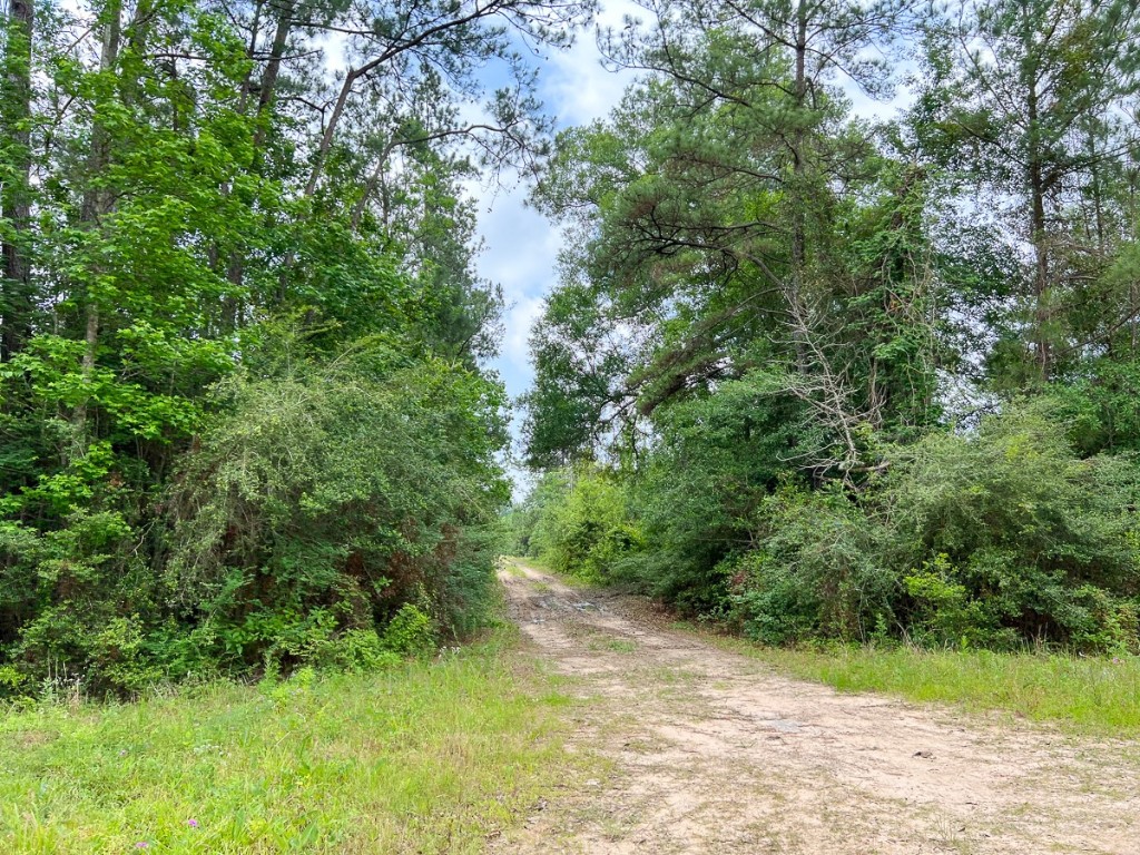 013 Old Arco Road Silsbee TX 77656