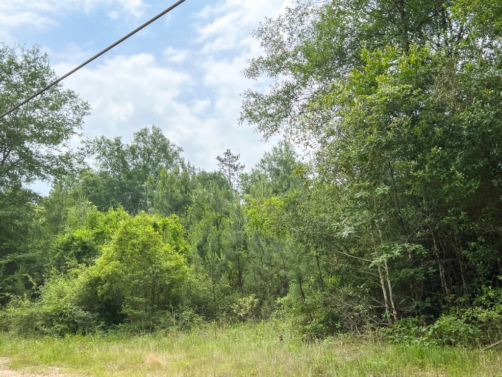 013 Old Arco Road Silsbee TX 77656
