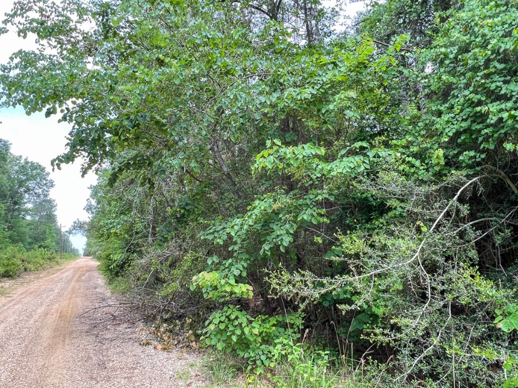 013 Old Arco Road Silsbee TX 77656