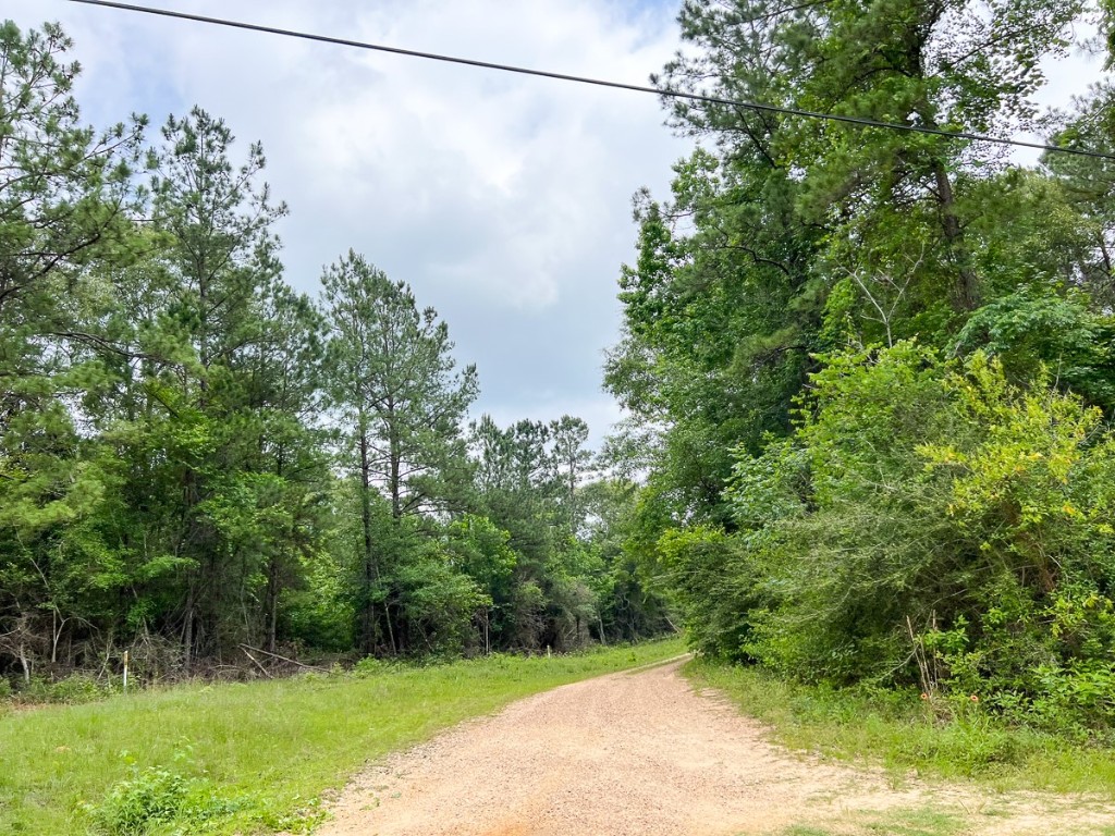 013 Old Arco Road Silsbee TX 77656