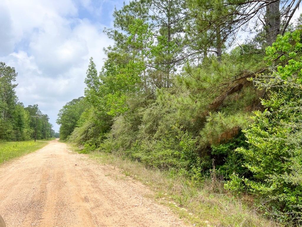 013 Old Arco Road Silsbee TX 77656