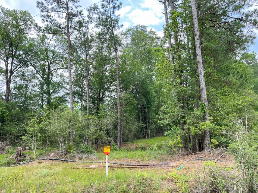 013 Old Arco Road Silsbee TX 77656