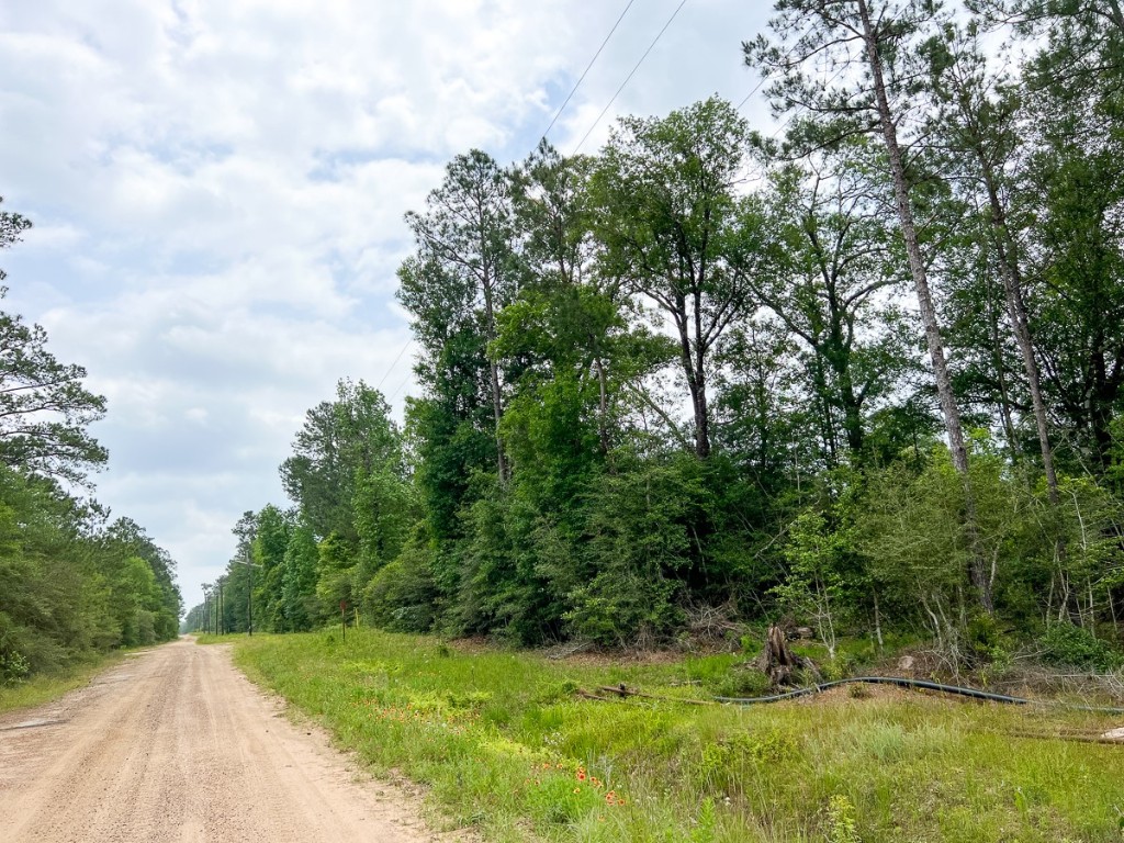 013 Old Arco Road Silsbee TX 77656
